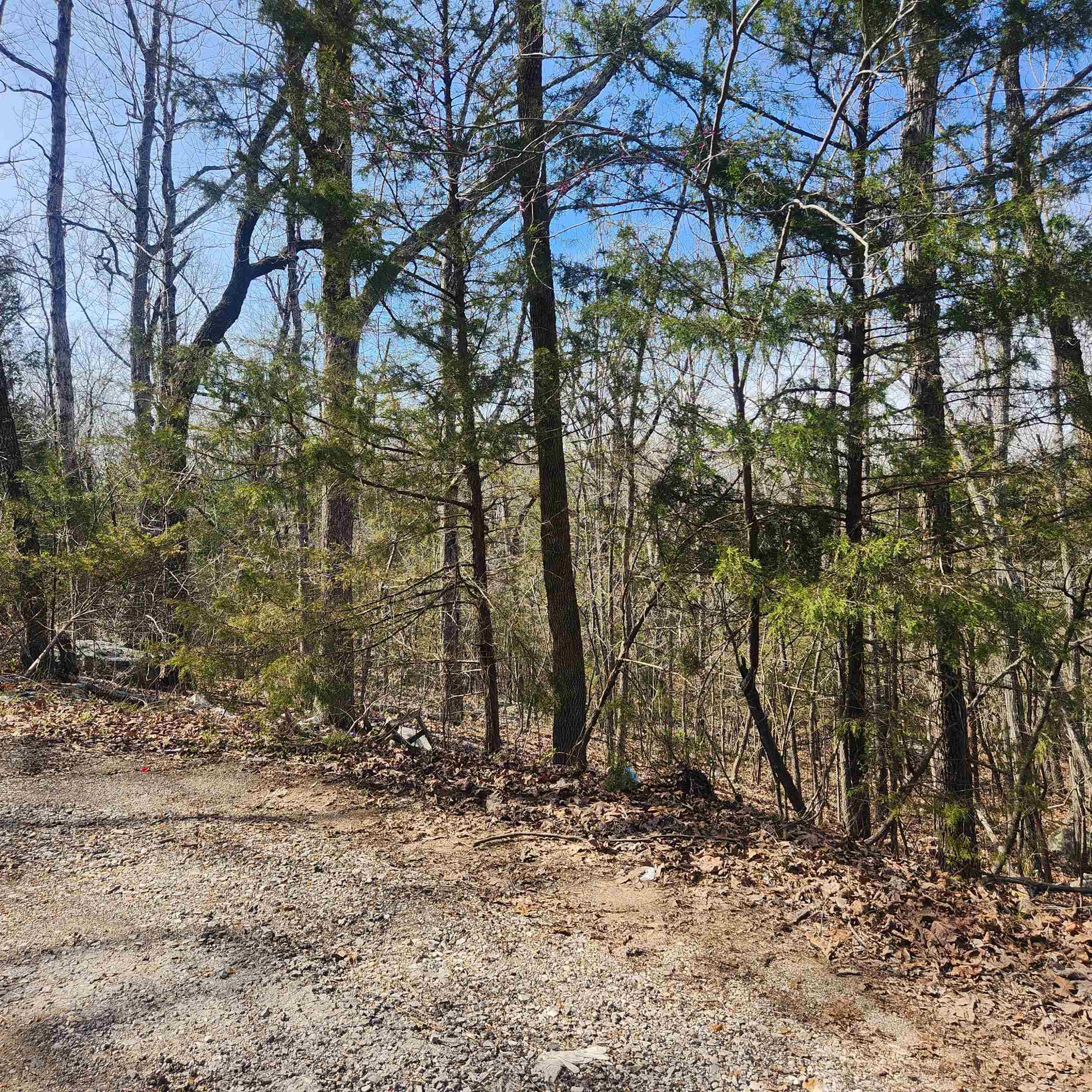 L-43, B-4 Warclub  Cherokee Village, AR