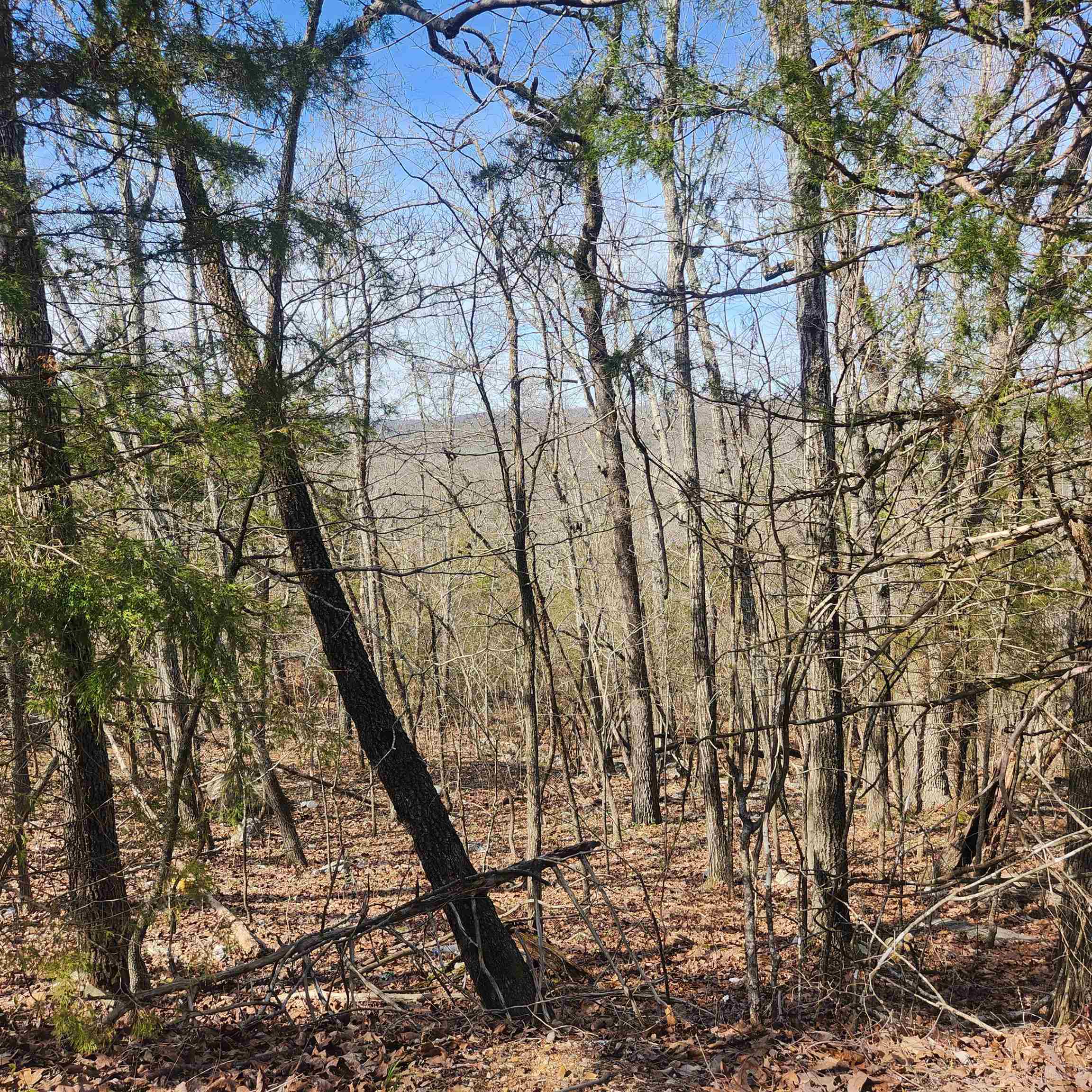 L-43, B-4 Warclub  Cherokee Village, AR