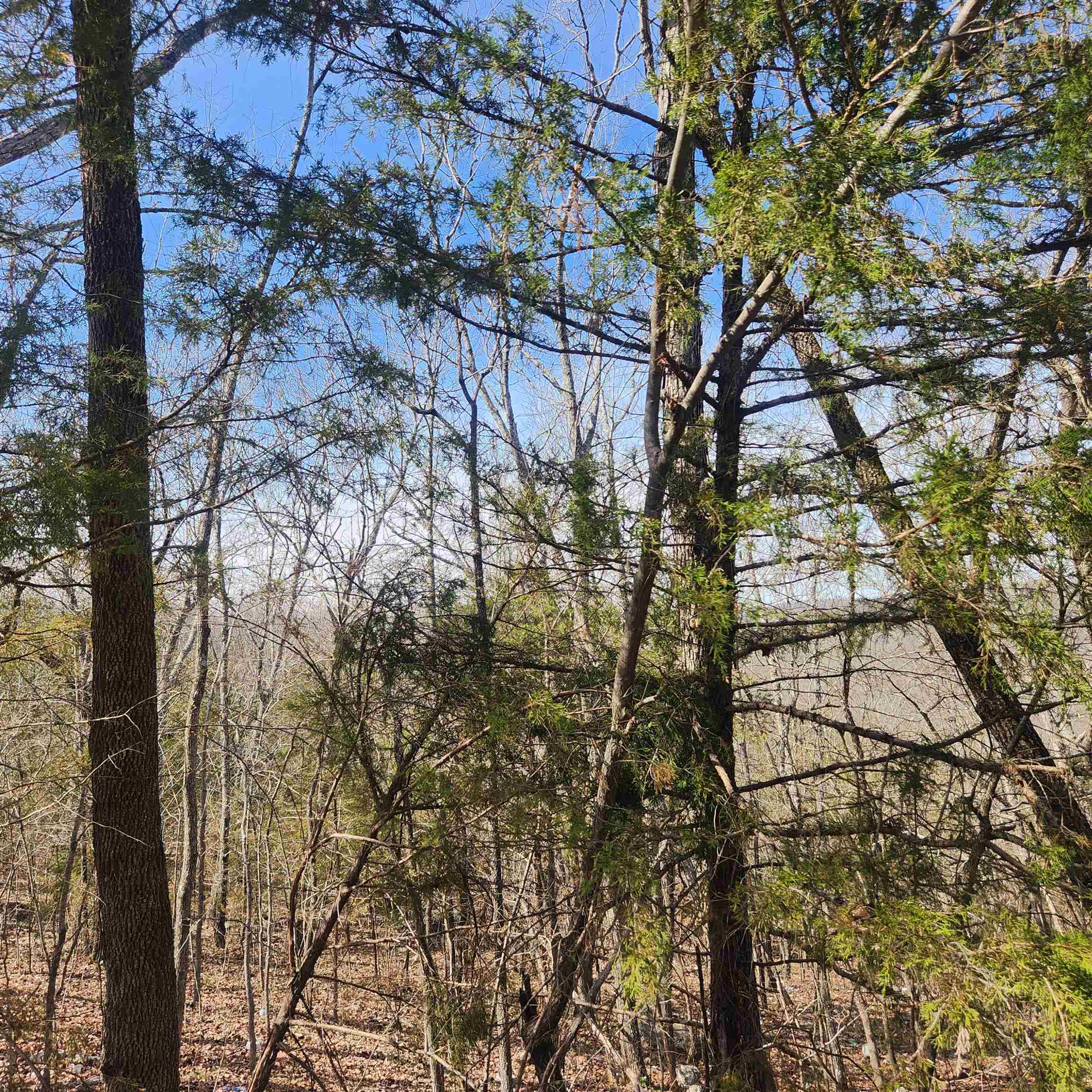 L-43, B-4 Warclub  Cherokee Village, AR