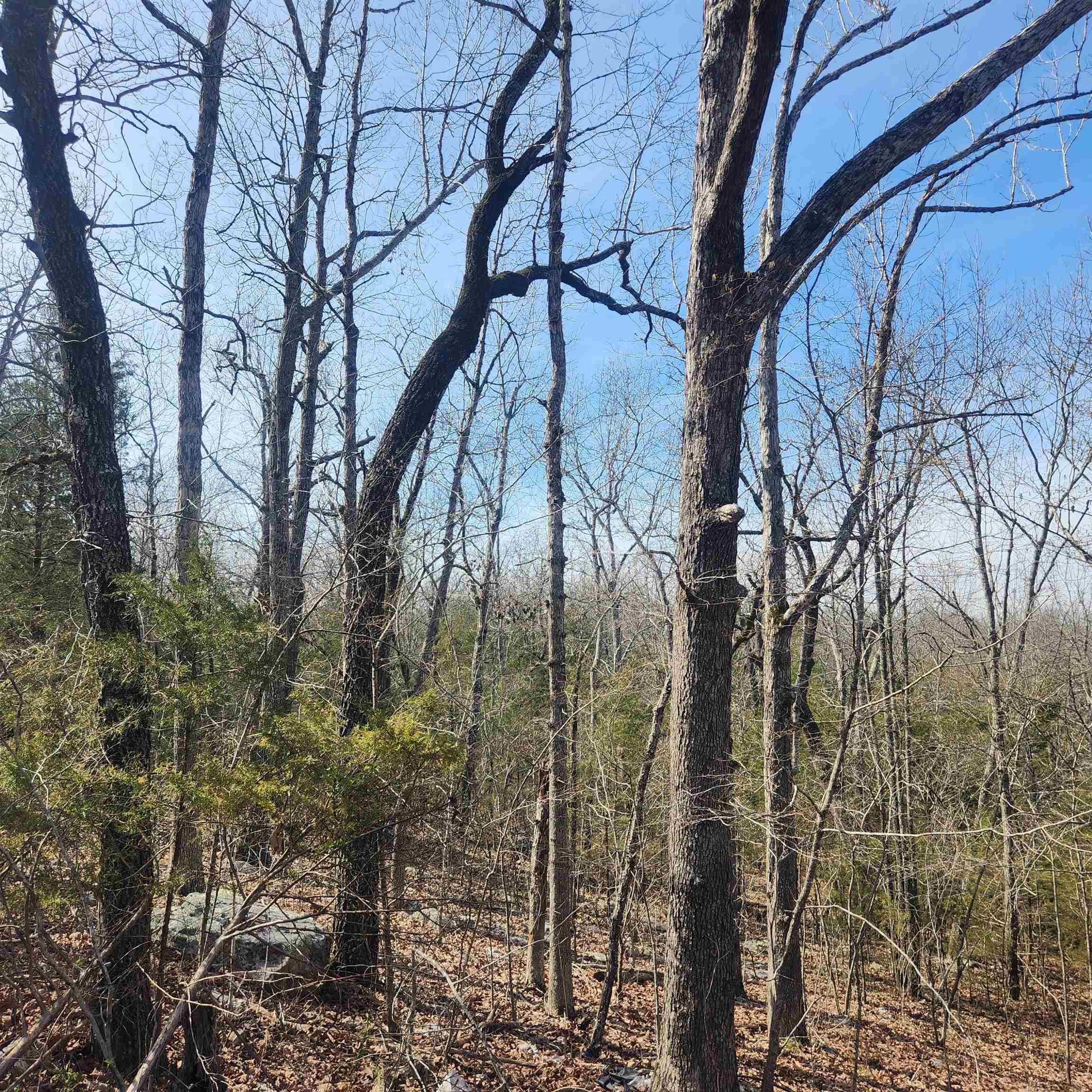 L-43, B-4 Warclub  Cherokee Village, AR