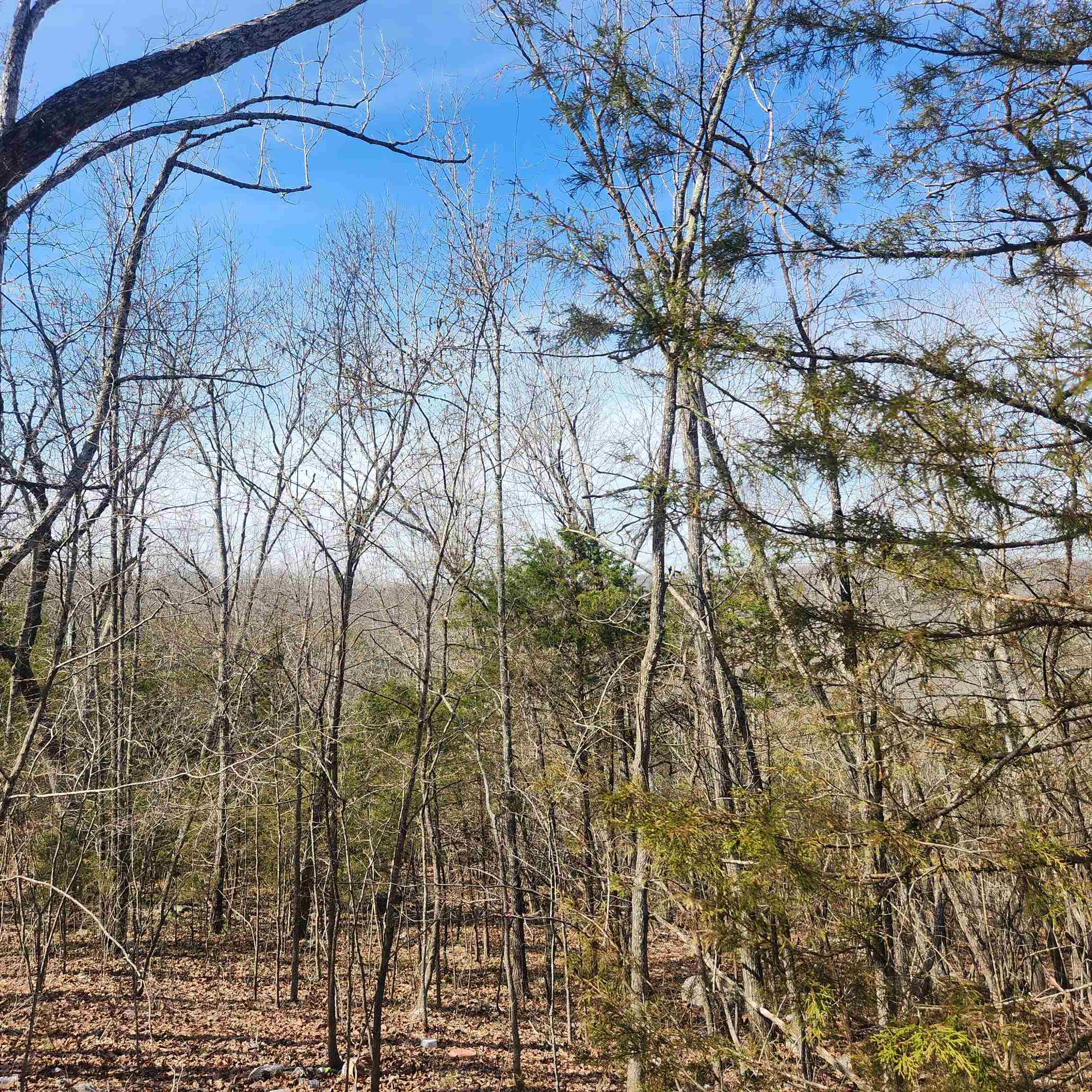 L-43, B-4 Warclub  Cherokee Village, AR