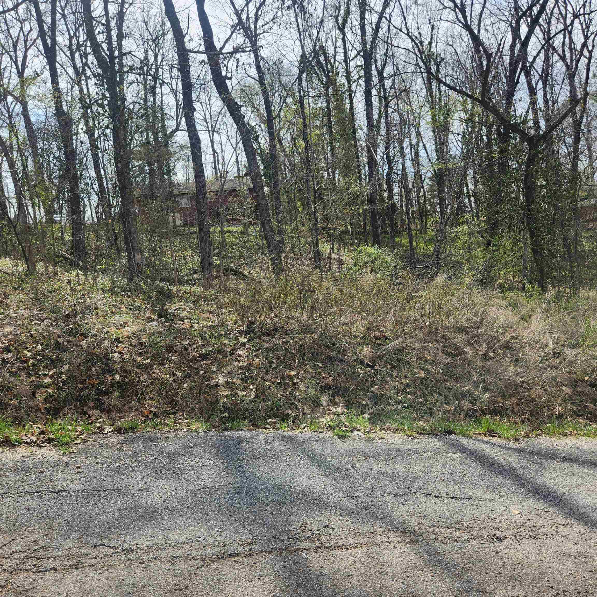 L-6, B-4 Tomahawk  Cherokee Village, AR