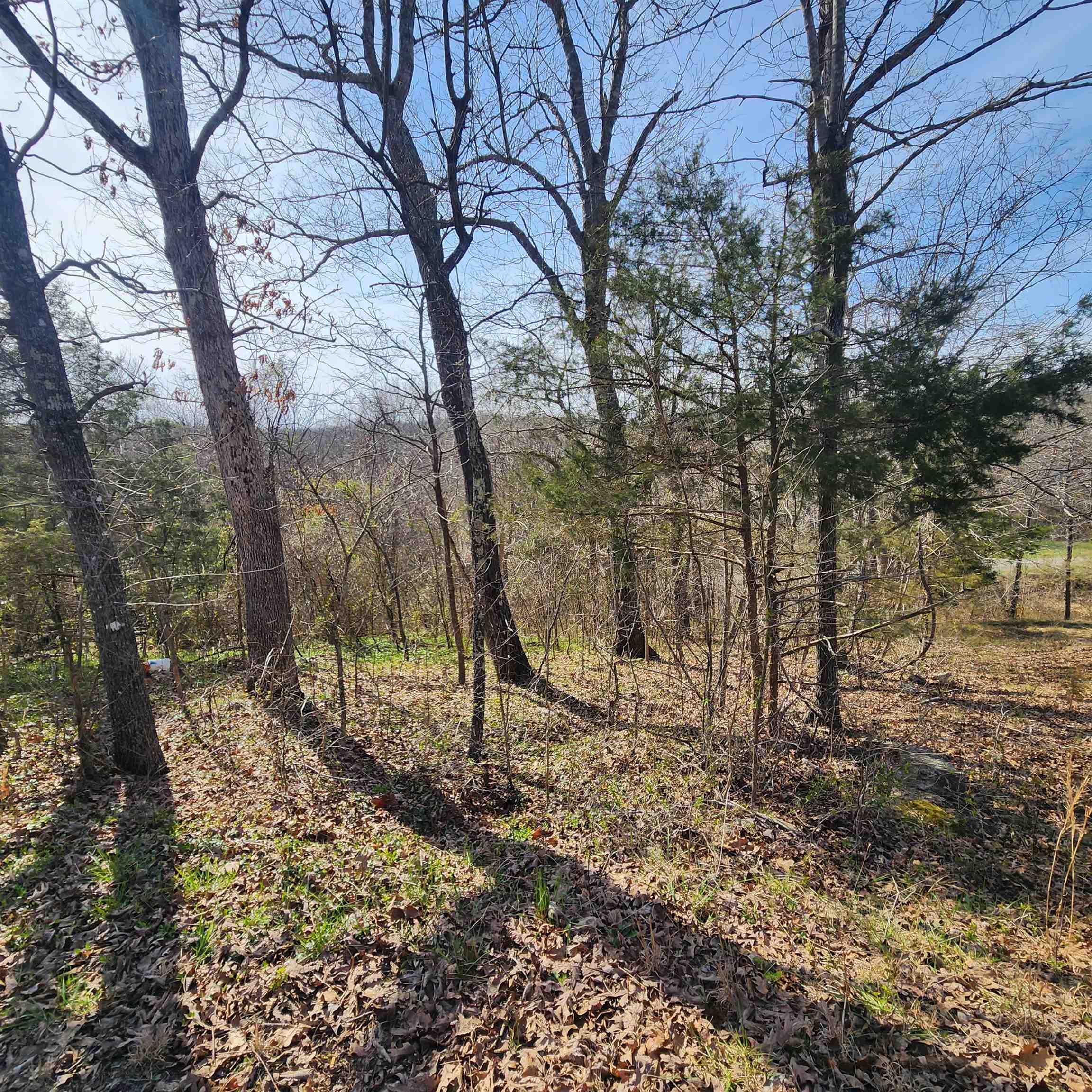 L-3, B-24 Algonquin  Cherokee Village, AR