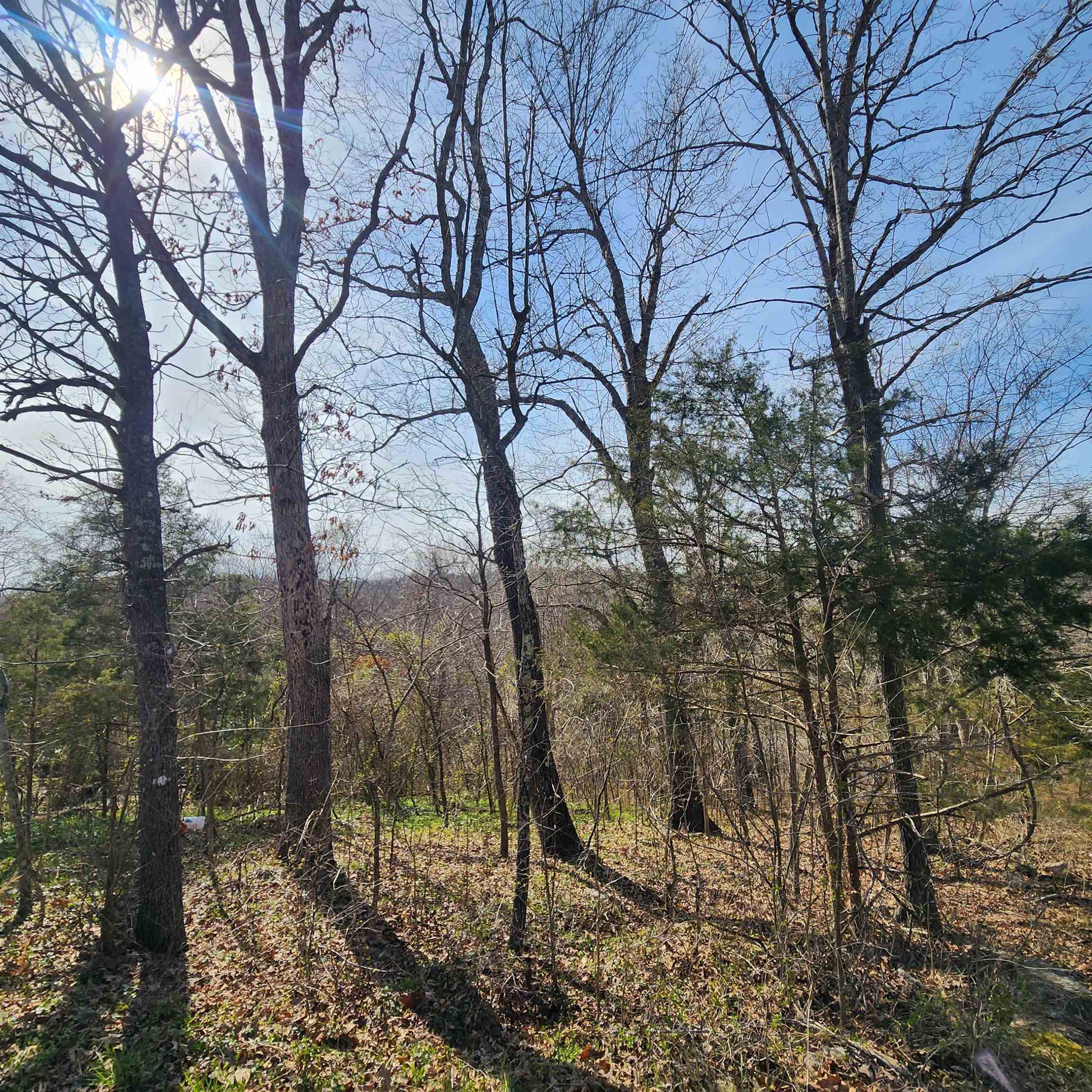 L-3, B-24 Algonquin  Cherokee Village, AR