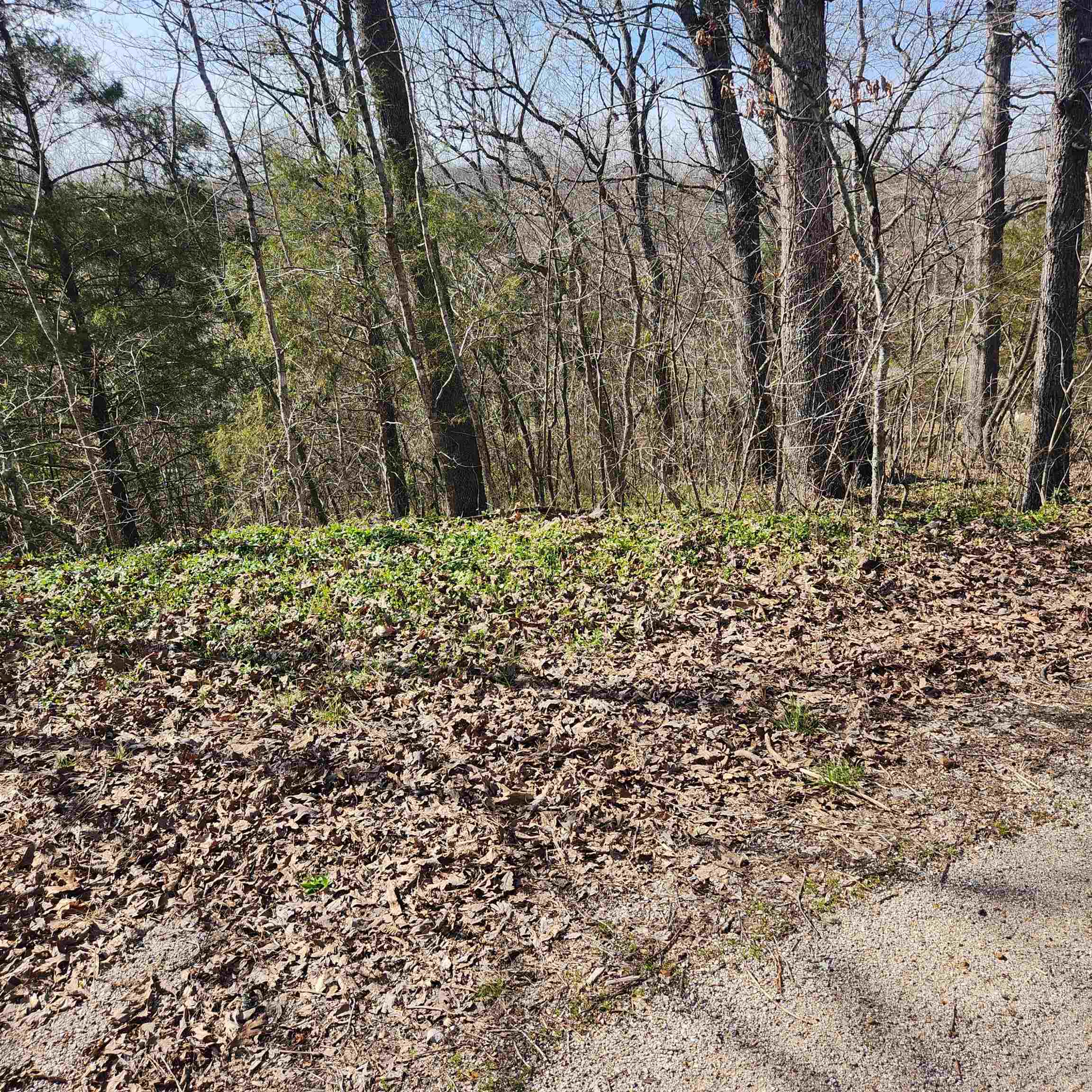 L-3, B-24 Algonquin  Cherokee Village, AR