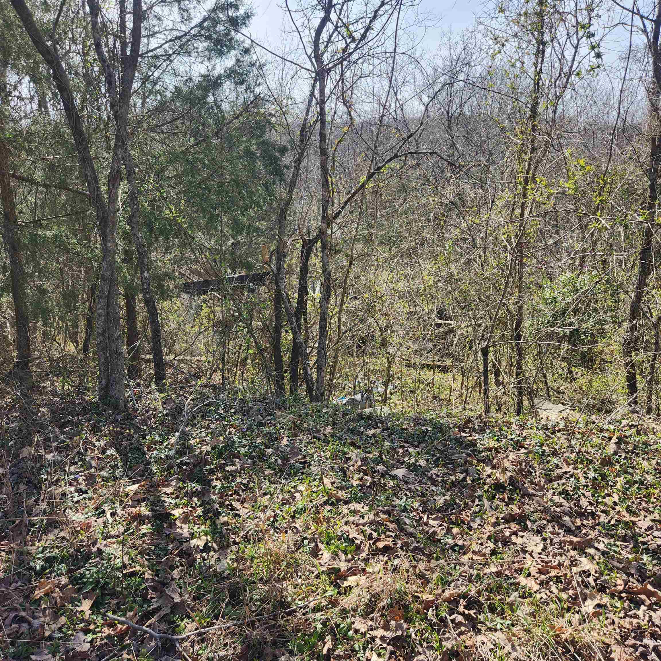 L-3, B-24 Algonquin  Cherokee Village, AR