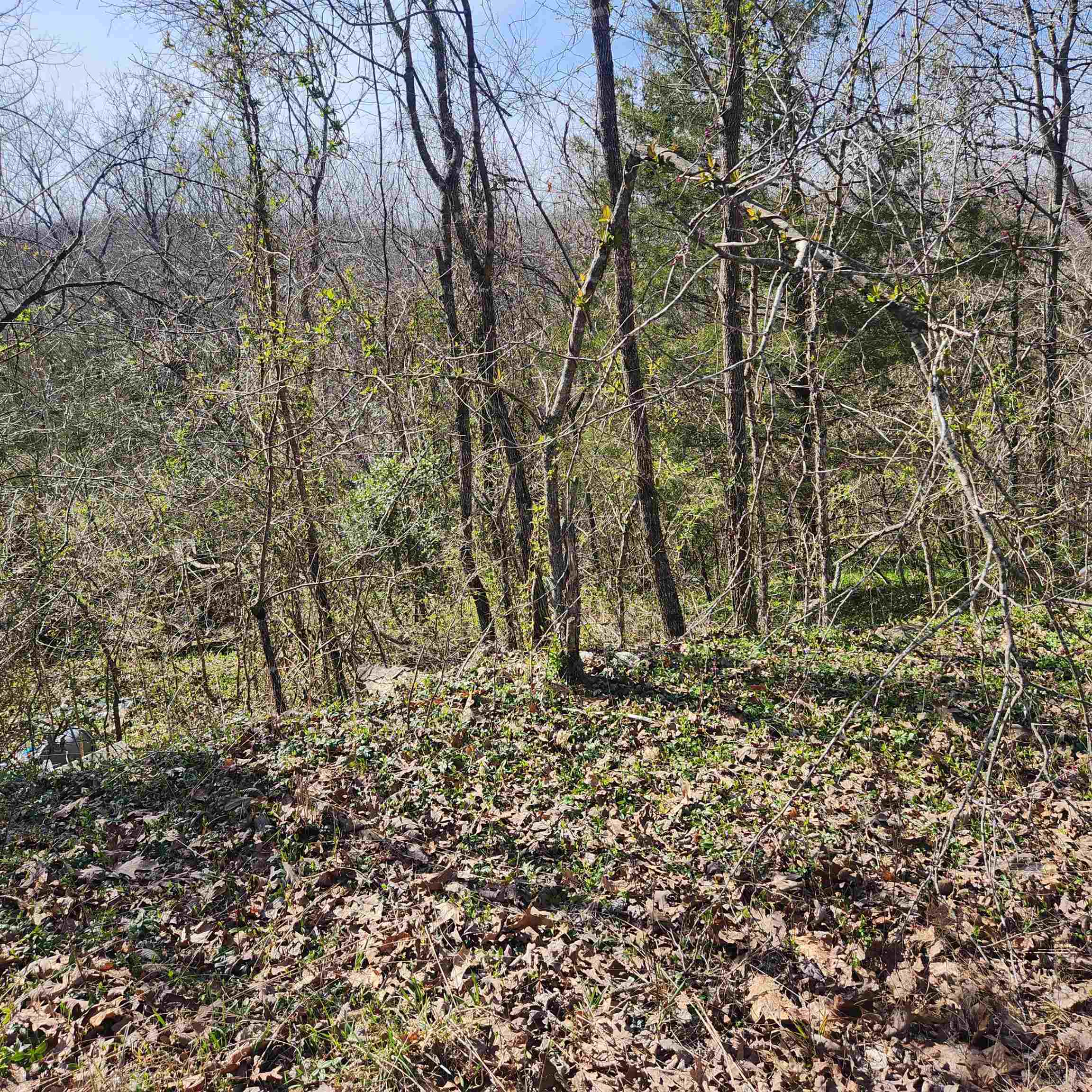 L-3, B-24 Algonquin  Cherokee Village, AR