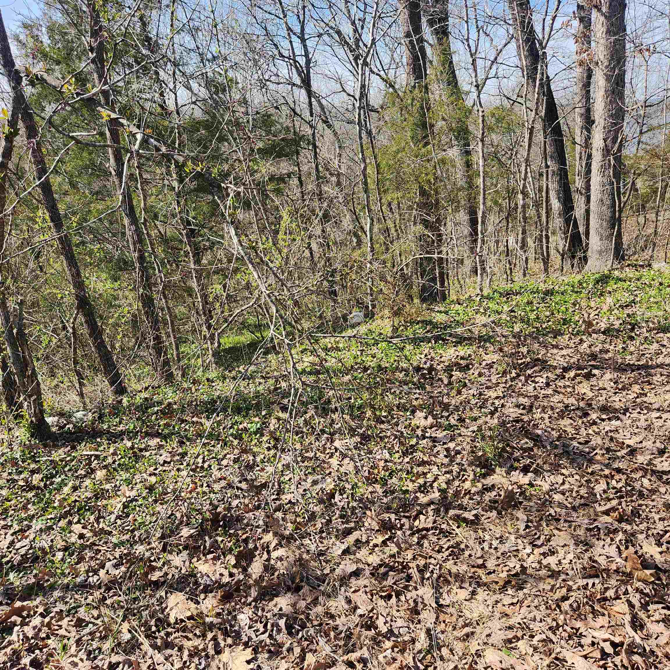L-3, B-24 Algonquin  Cherokee Village, AR