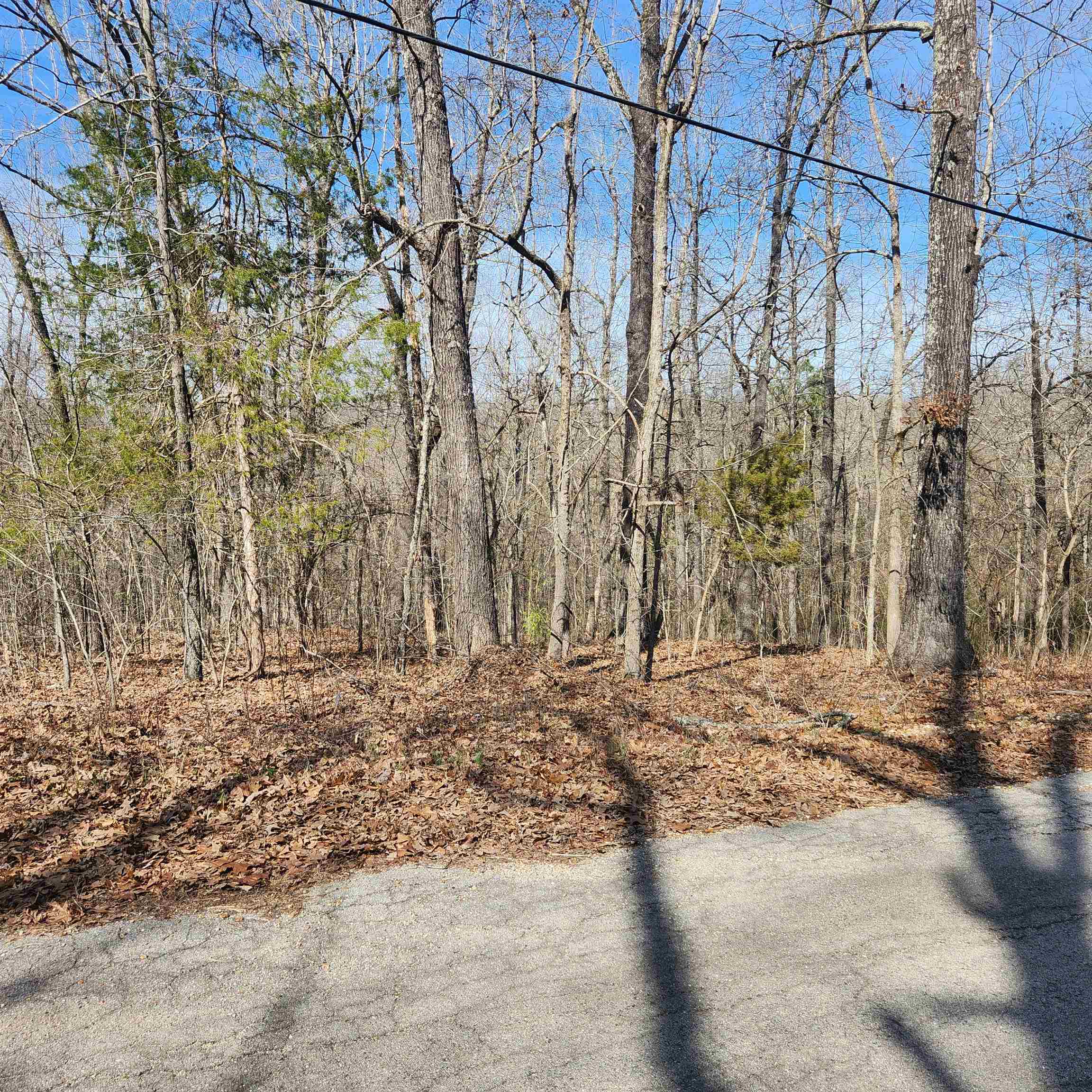 L-10, B-26 White Dove  Cherokee Village, AR