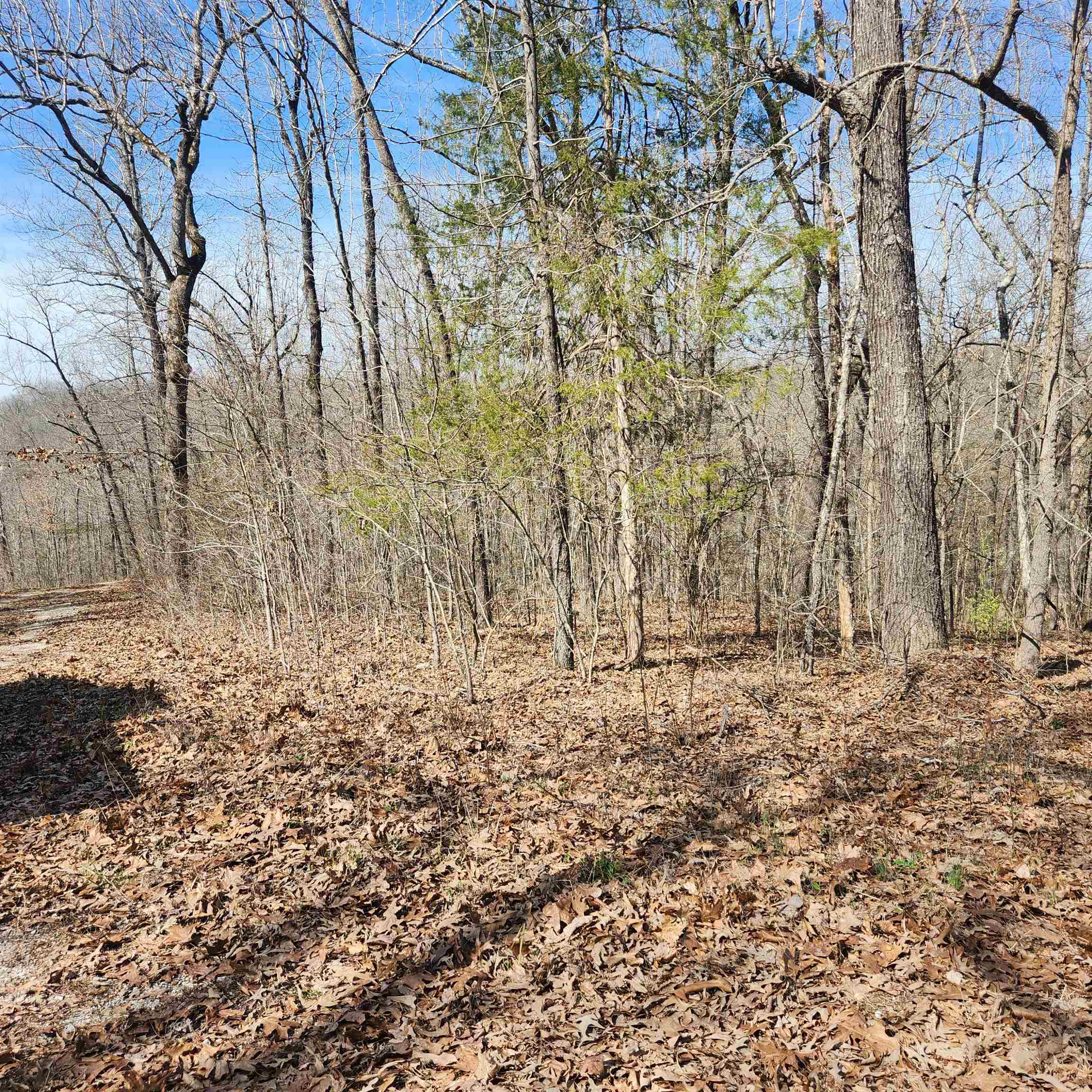 L-10, B-26 White Dove  Cherokee Village, AR