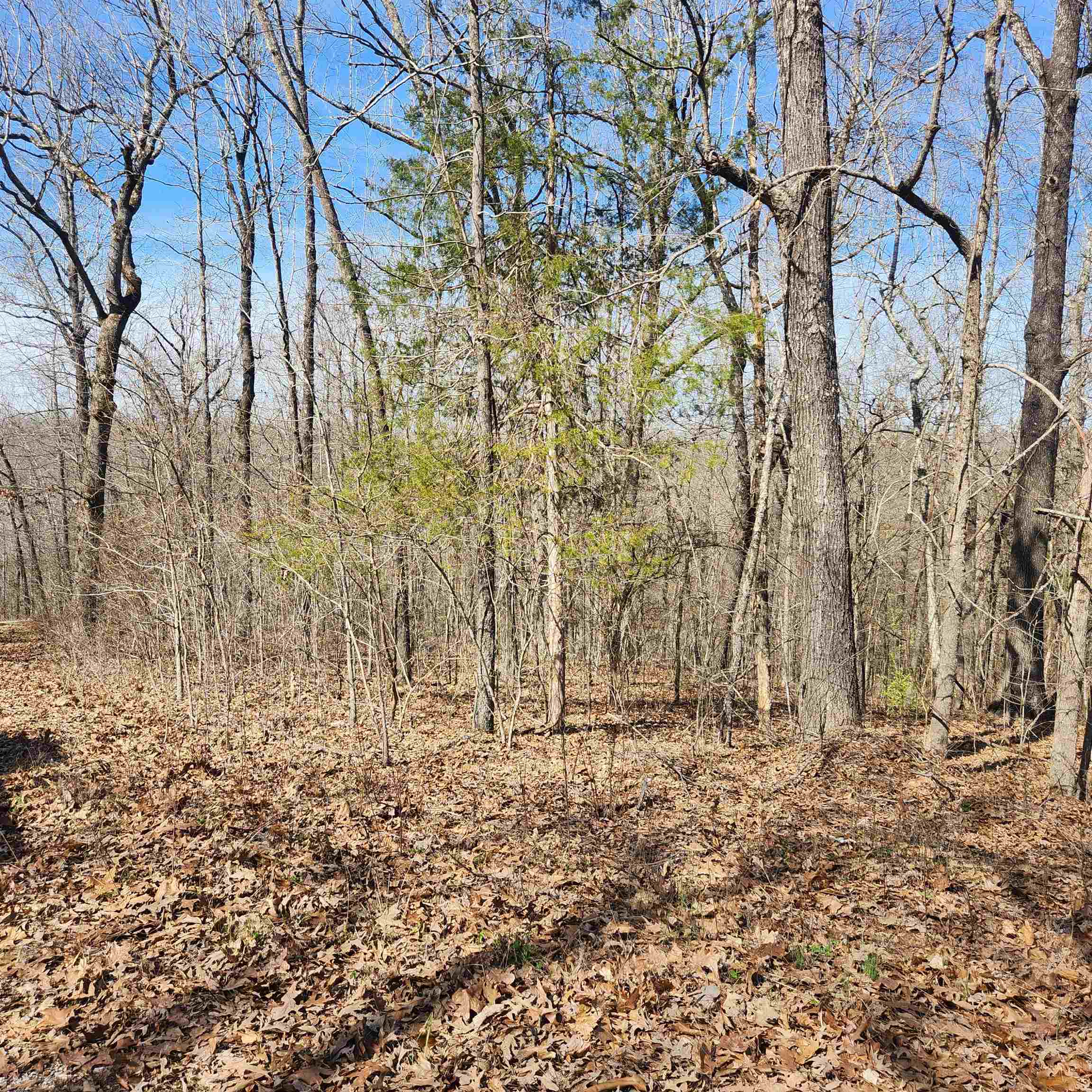 L-10, B-26 White Dove  Cherokee Village, AR