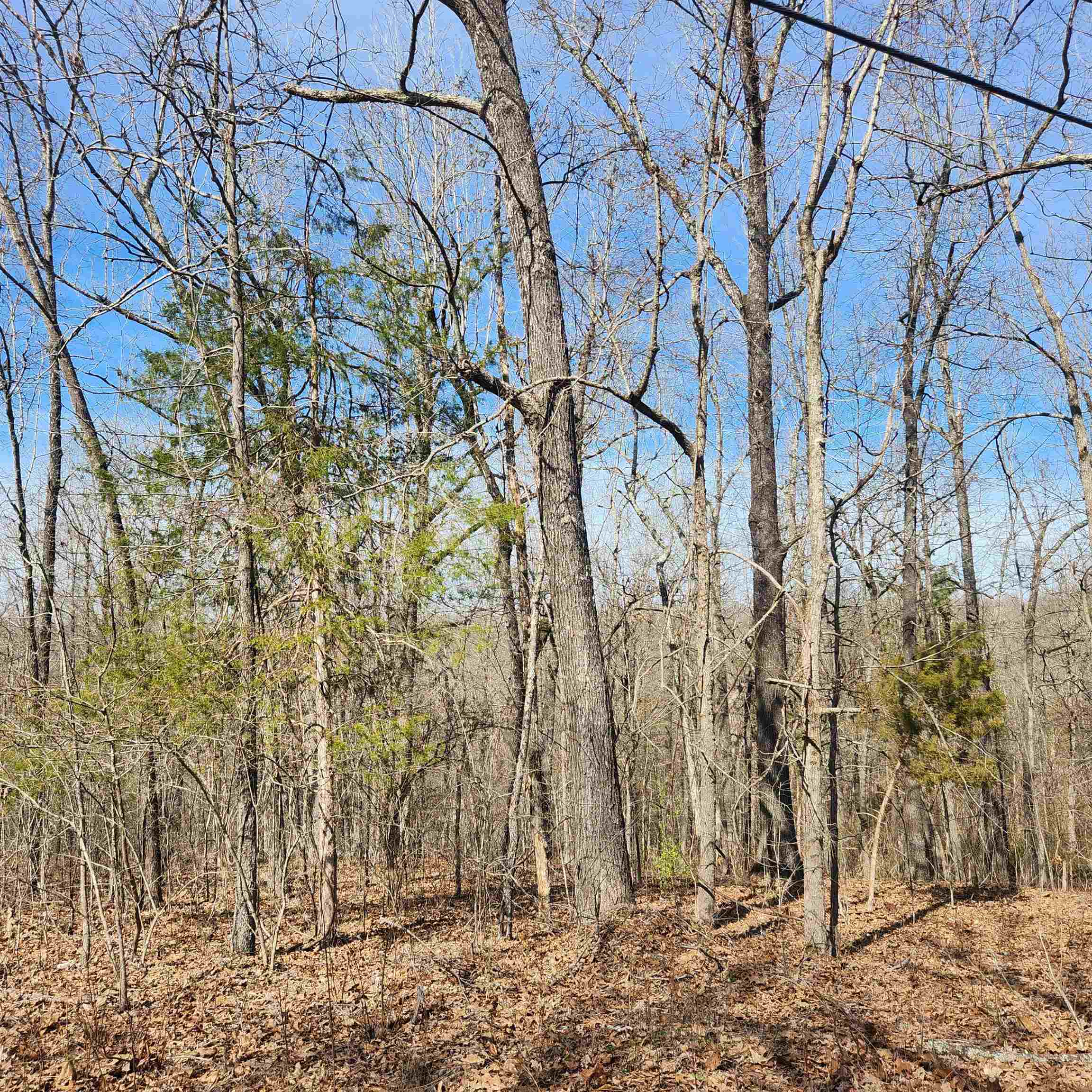 L-10, B-26 White Dove  Cherokee Village, AR