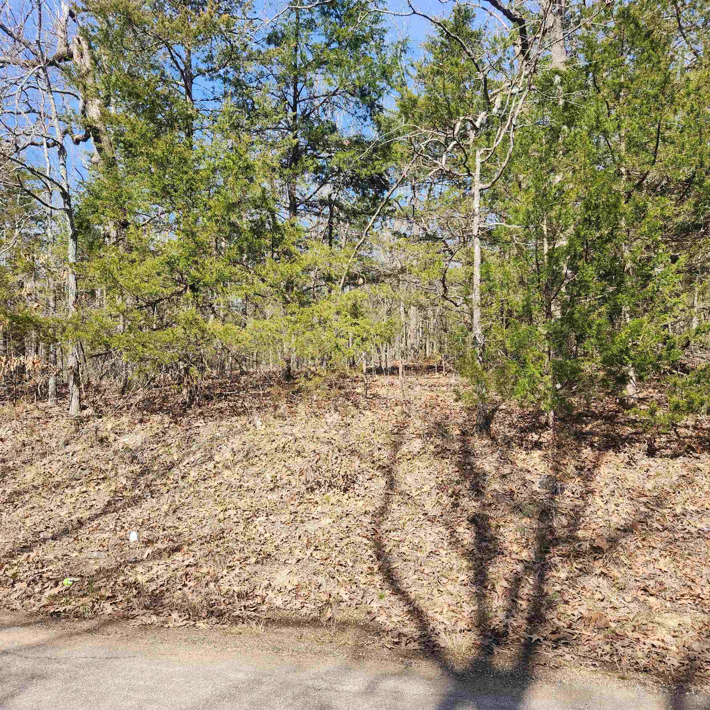 L-10, B-17 Hiawatha  Cherokee Village, AR