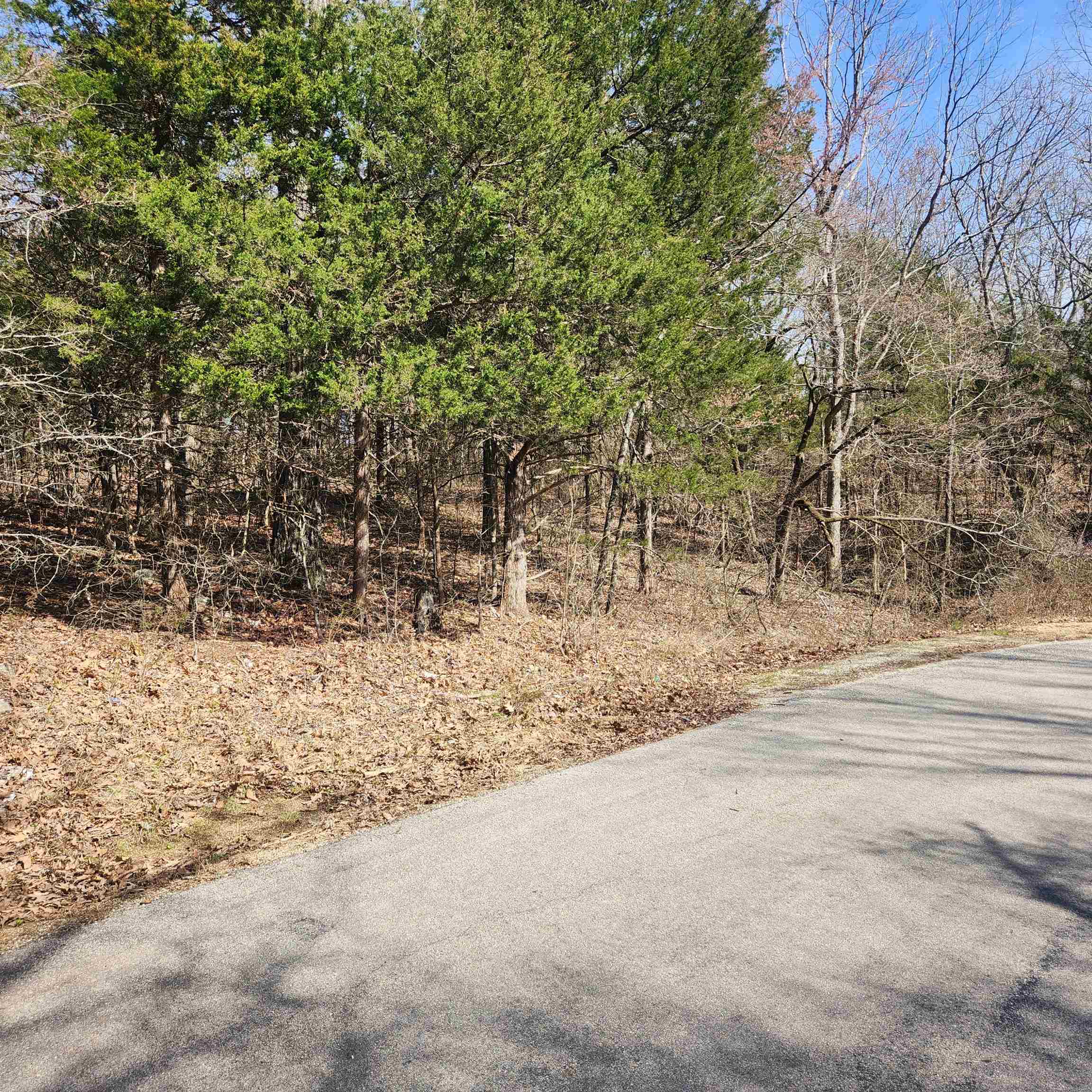 L-10, B-17 Hiawatha  Cherokee Village, AR