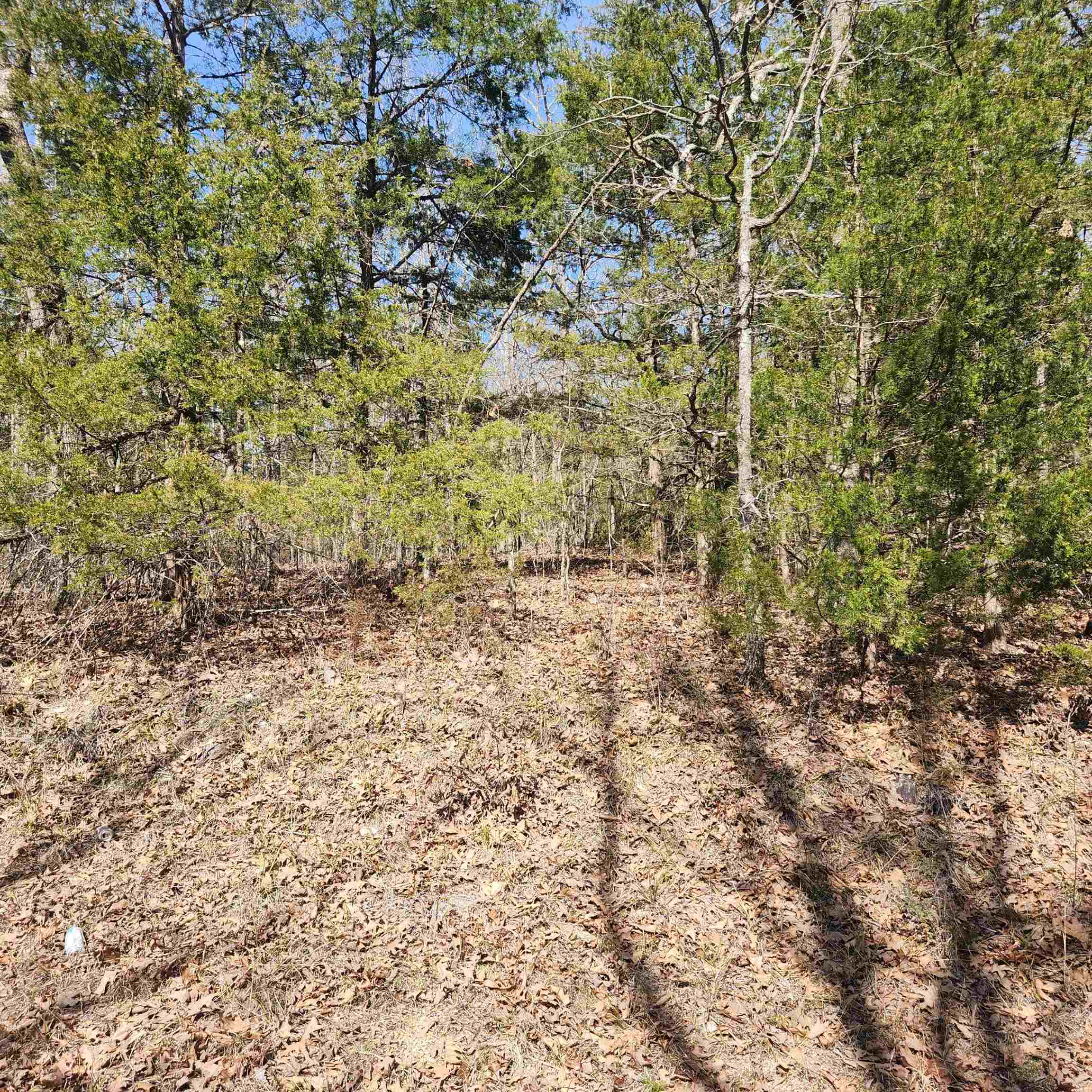 L-10, B-17 Hiawatha  Cherokee Village, AR