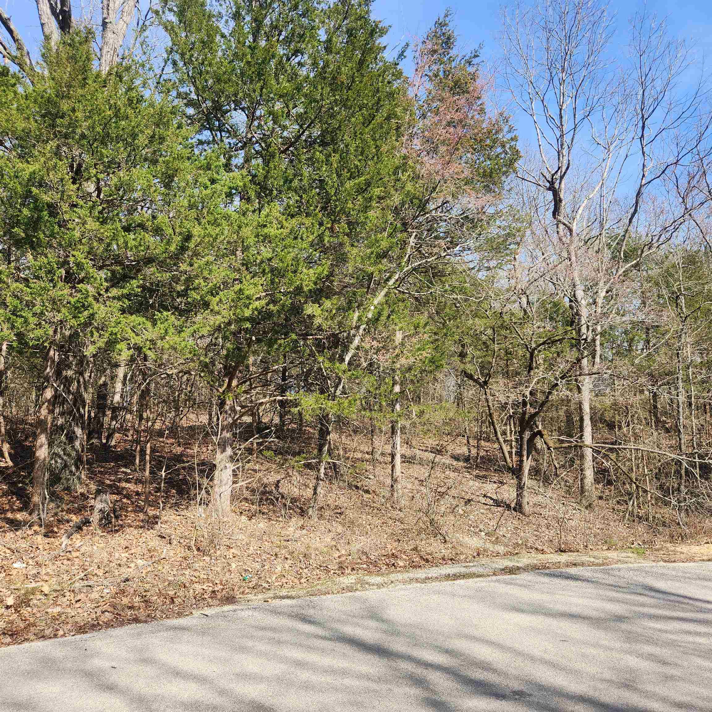 L-10, B-17 Hiawatha  Cherokee Village, AR