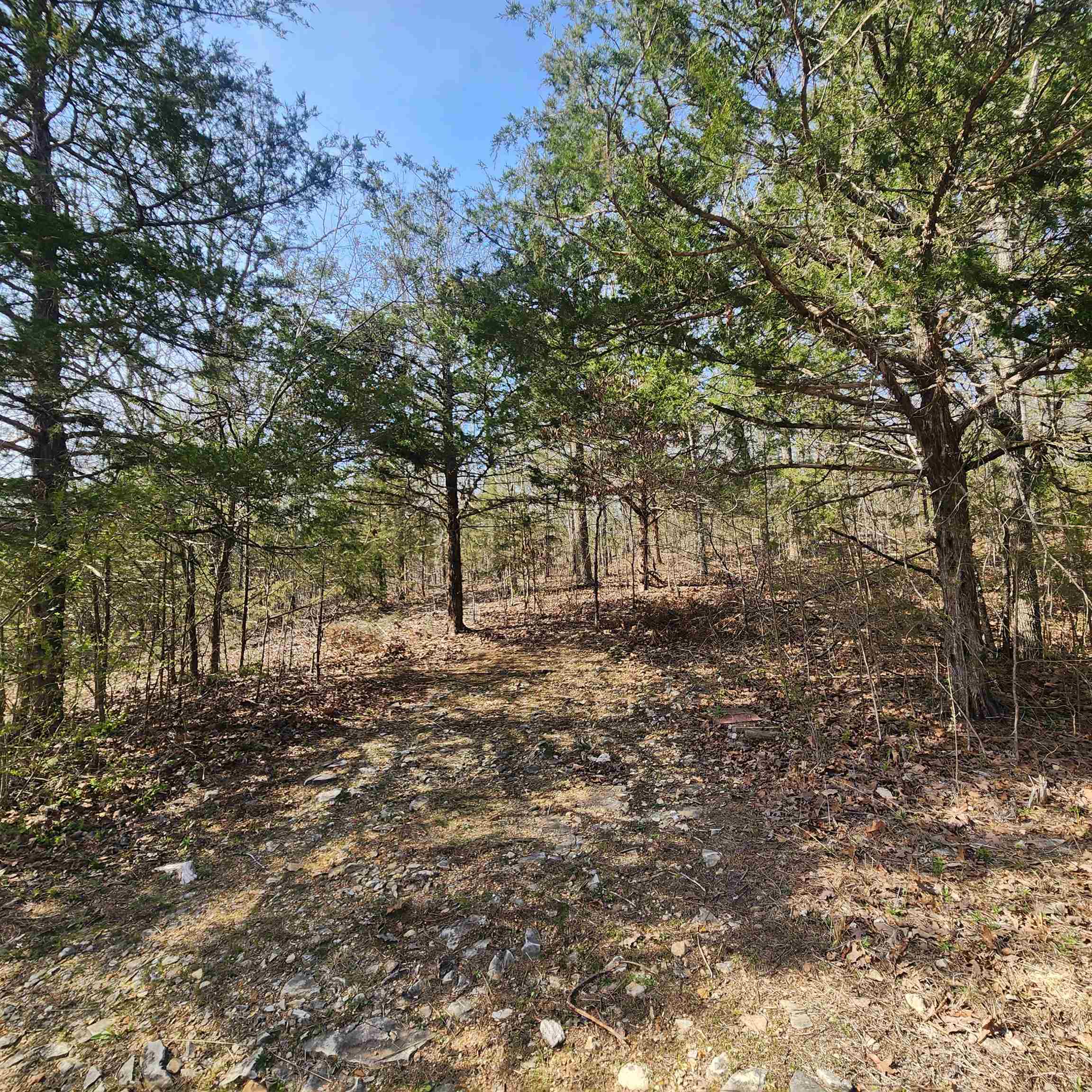 L-63, B-19 E Lakeshore  Cherokee Village, AR