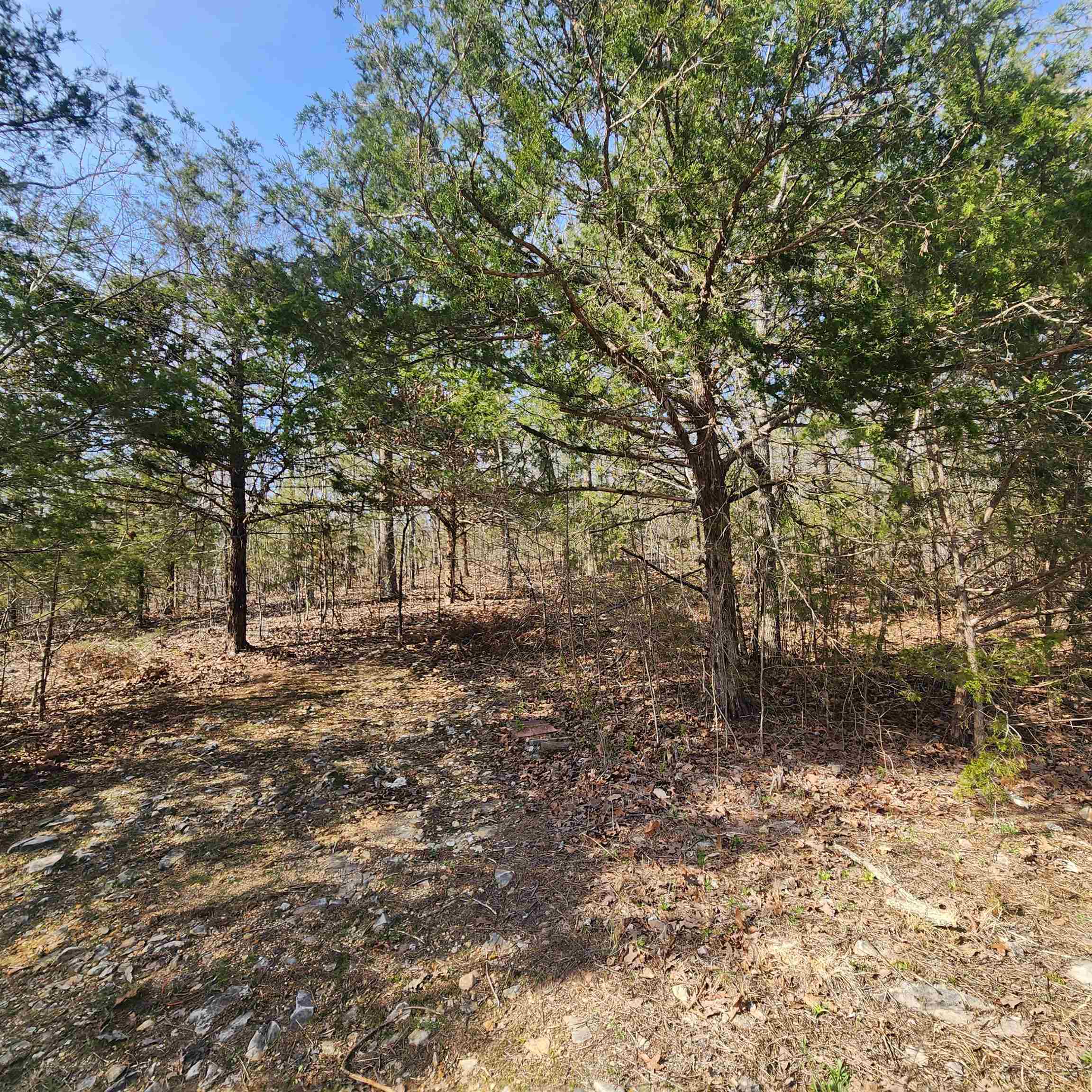 L-63, B-19 E Lakeshore  Cherokee Village, AR