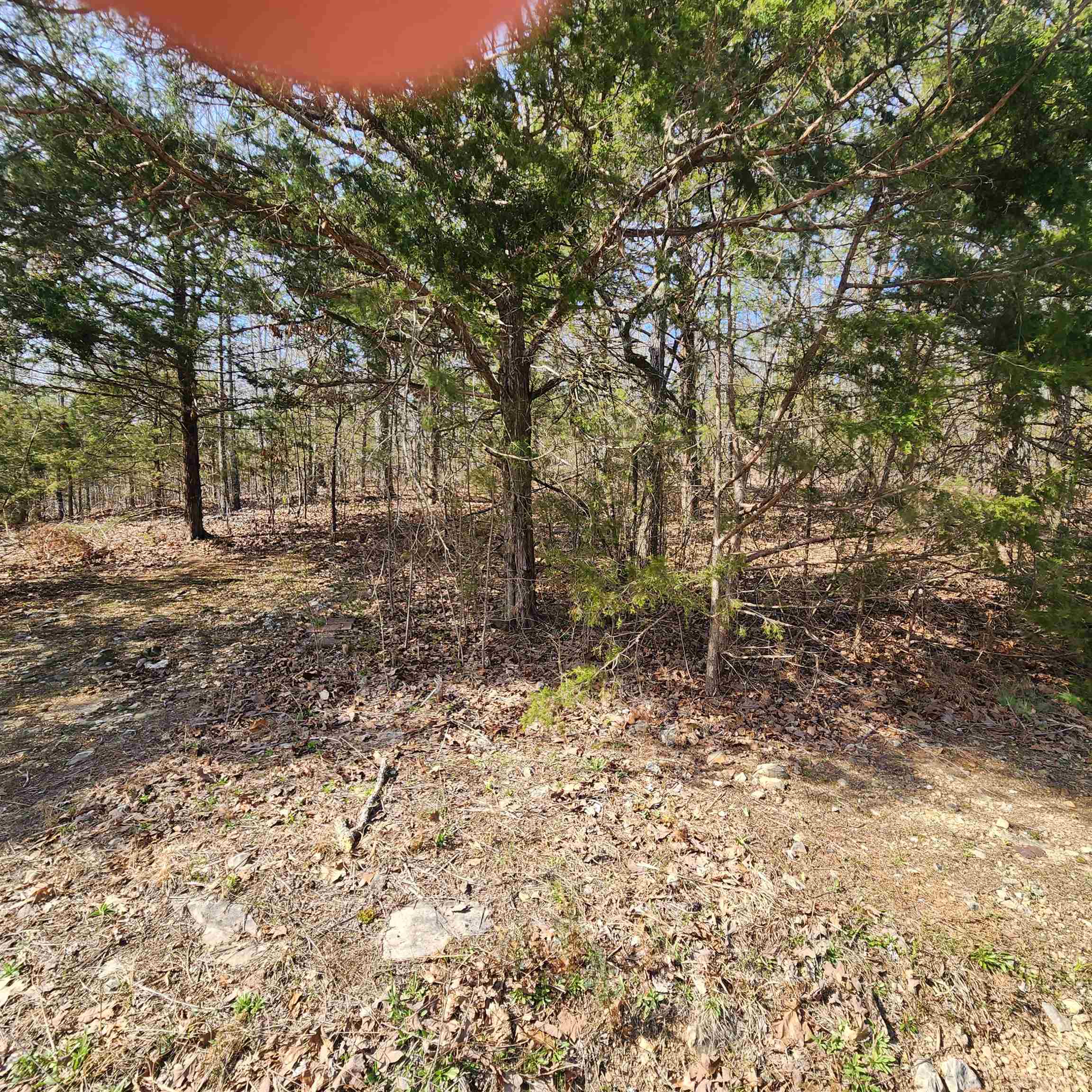 L-63, B-19 E Lakeshore  Cherokee Village, AR