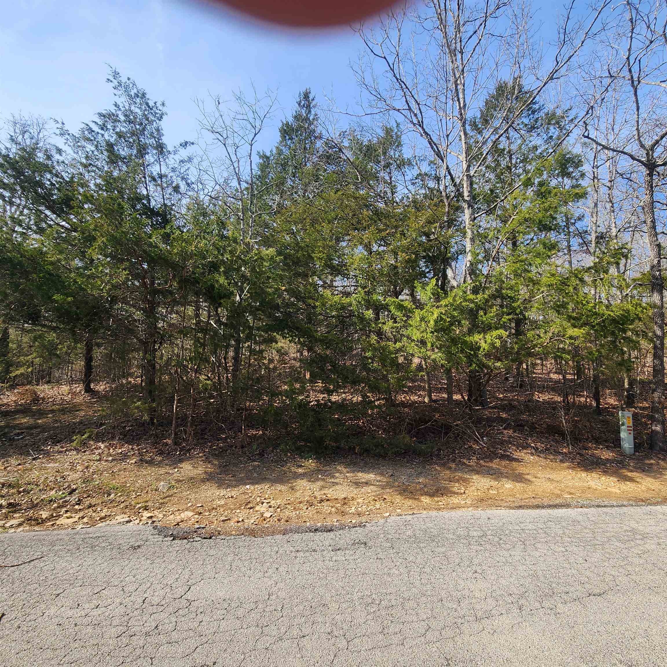 L-63, B-19 E Lakeshore  Cherokee Village, AR