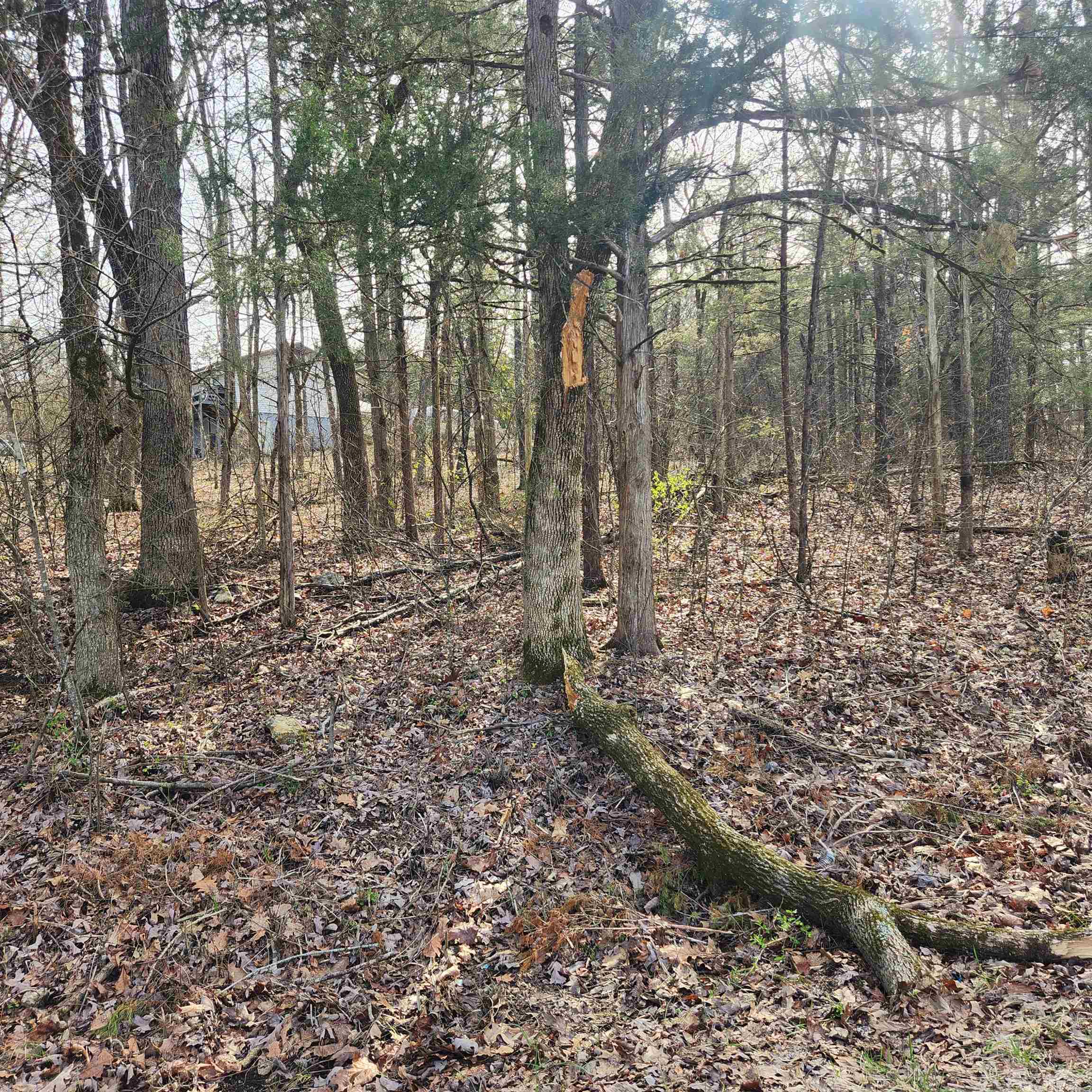 L-9, B-25 Yancopin  Cherokee Village, AR