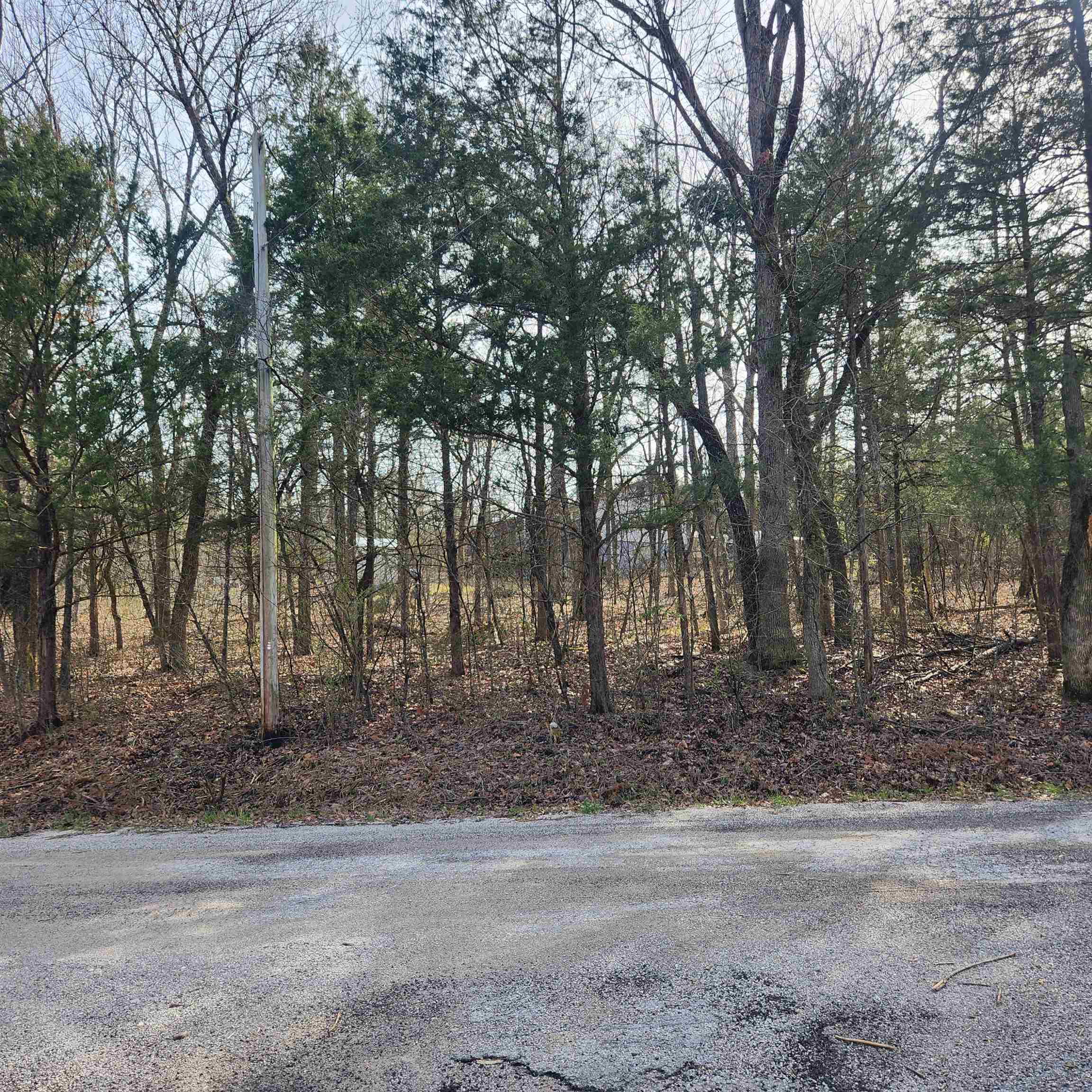 L-9, B-25 Yancopin  Cherokee Village, AR