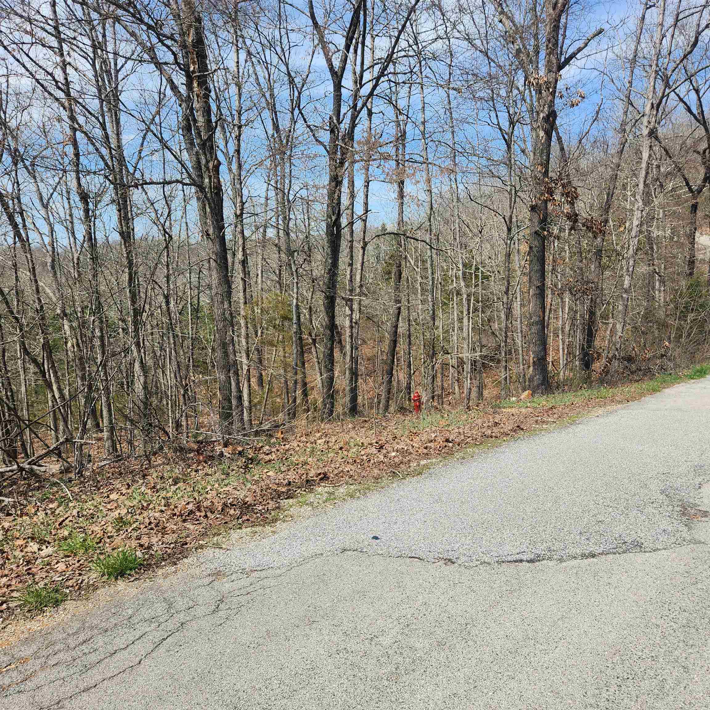 L-6, B11 Flathead  Cherokee Village, AR