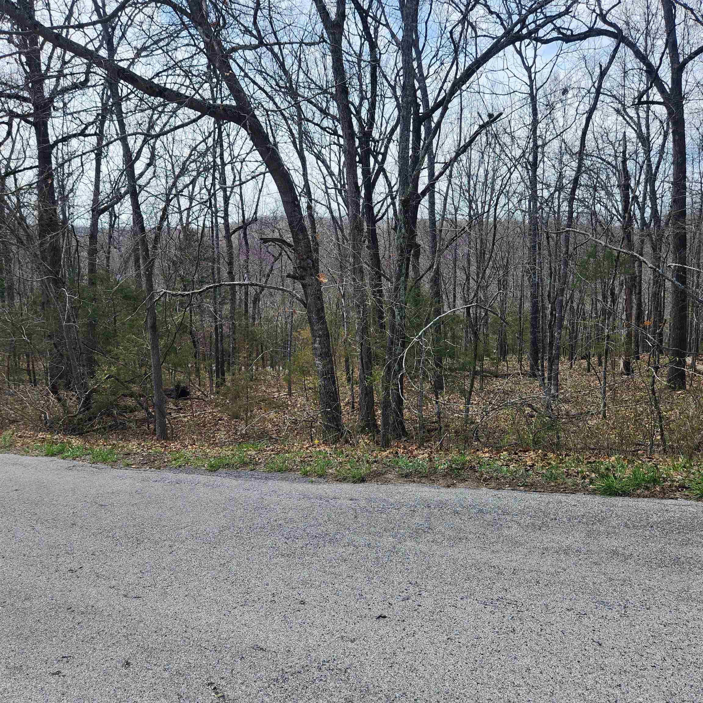 L-2 B-11 Flathead  Cherokee Village, AR