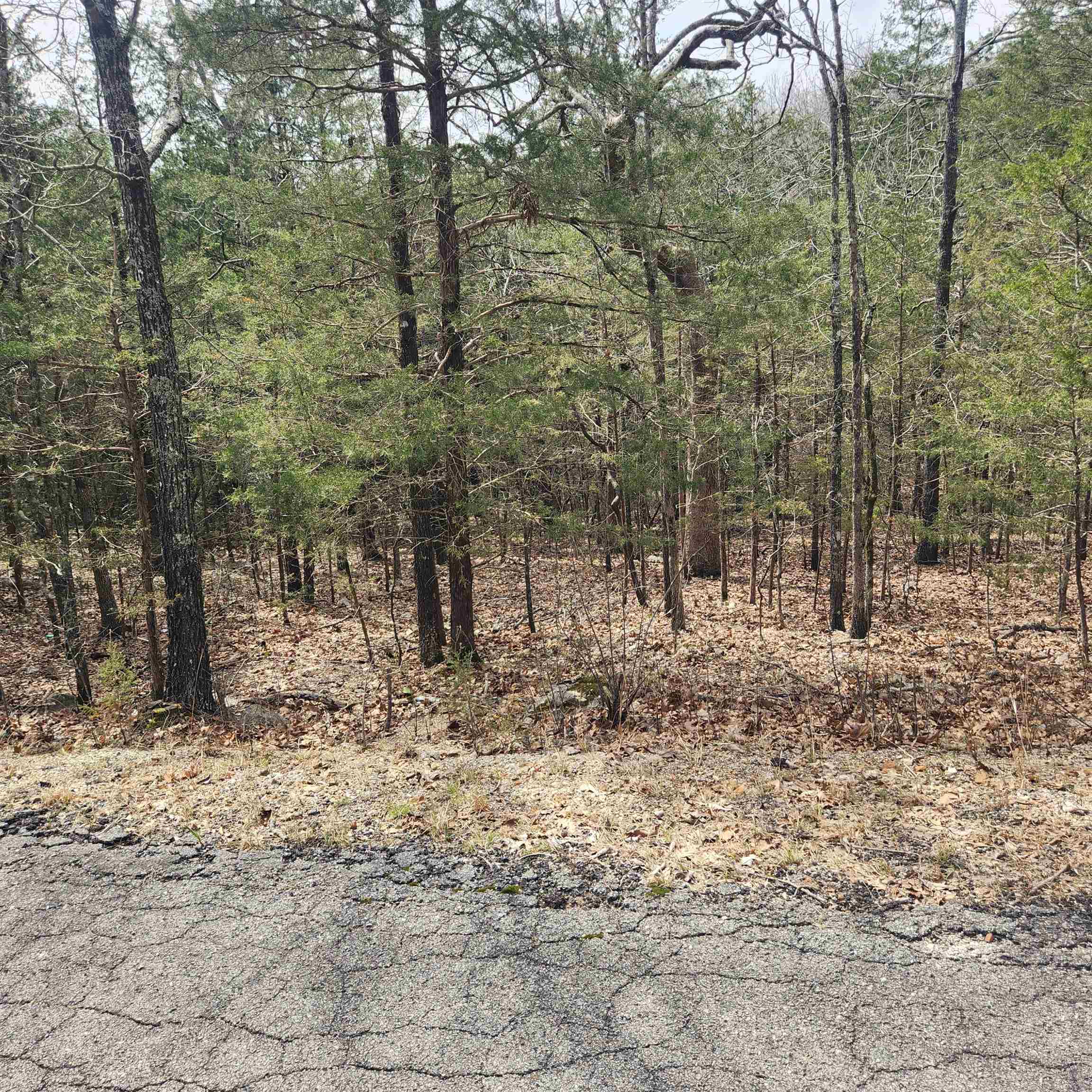 L6, B12 Cochise  Cherokee Village, AR