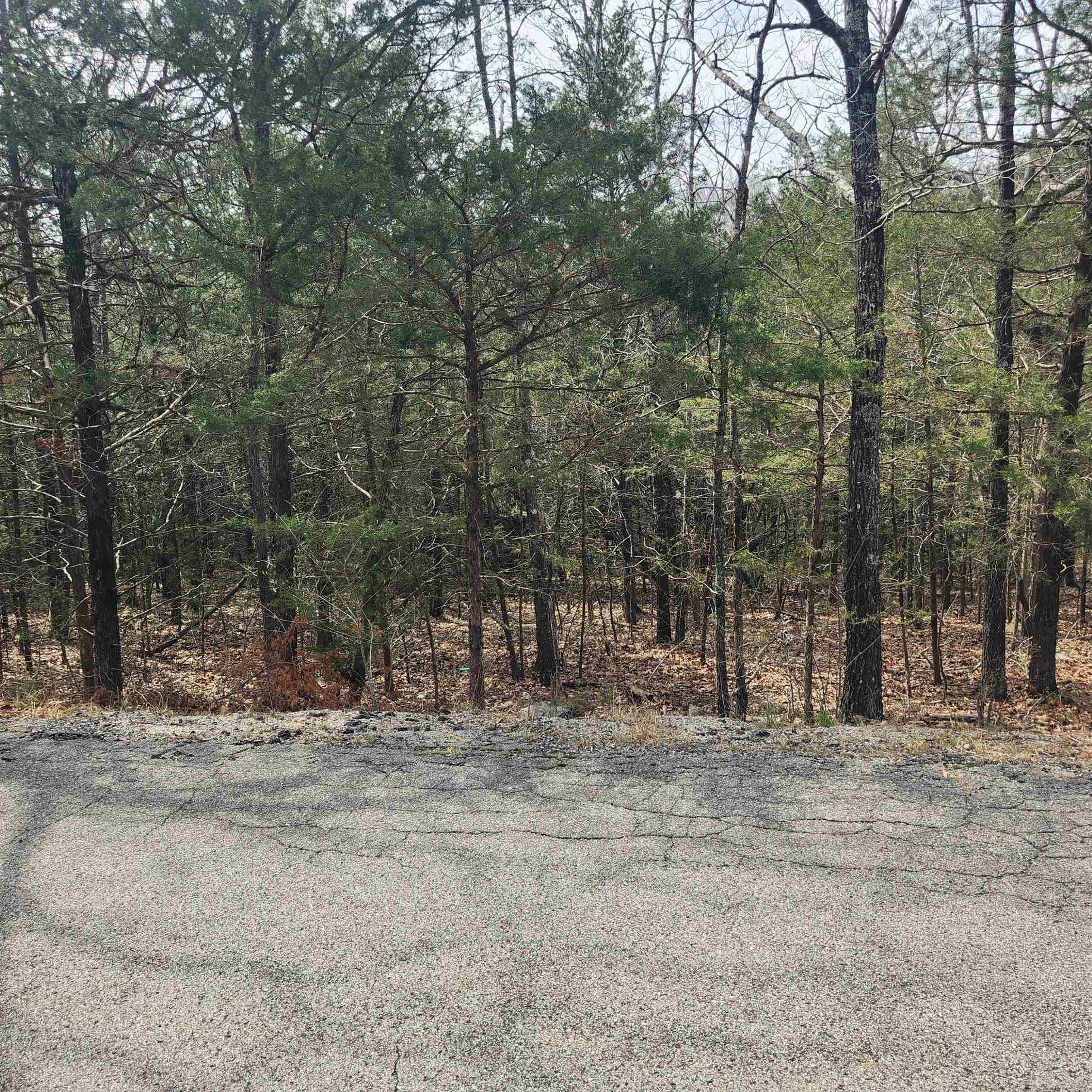 L6, B12 Cochise  Cherokee Village, AR