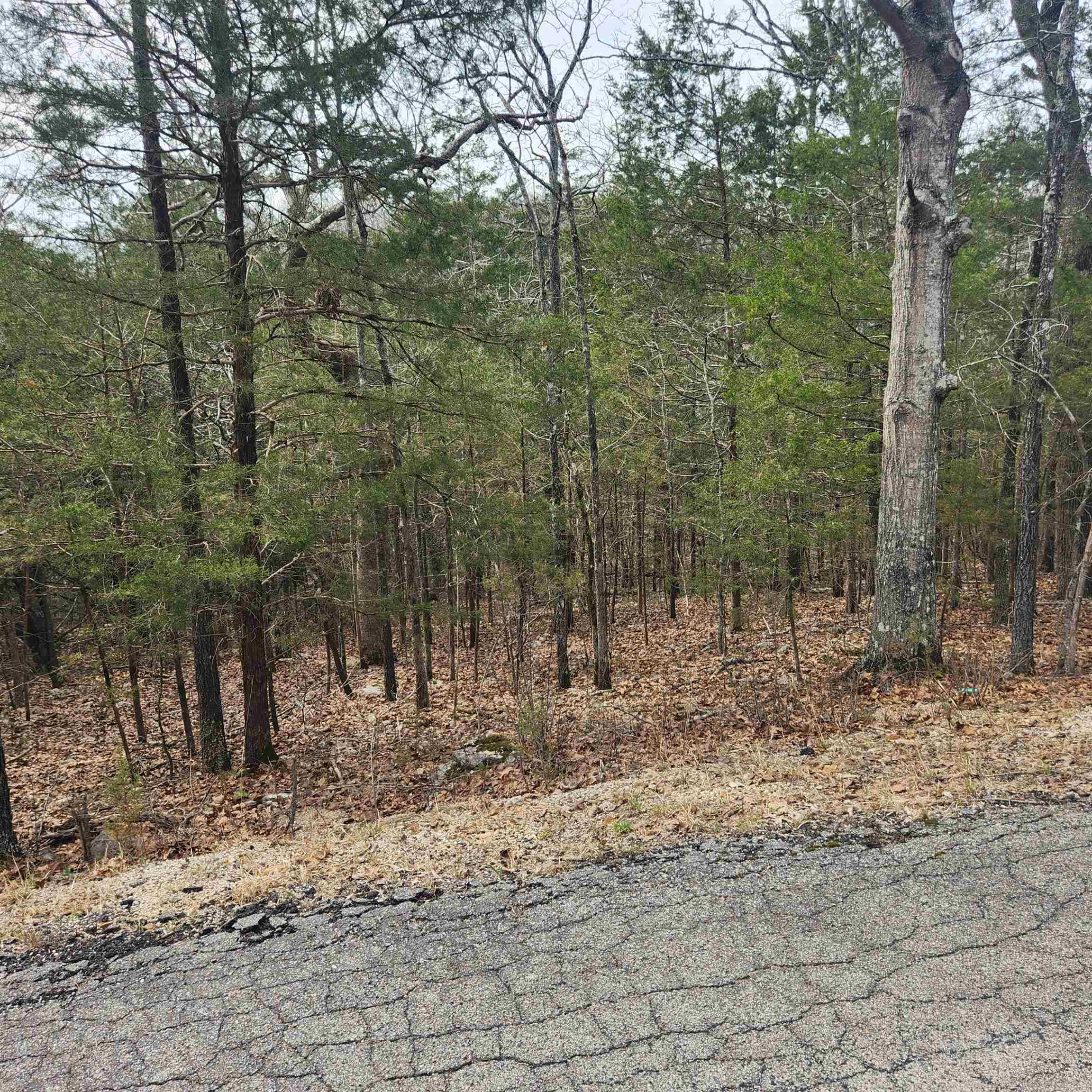 L6, B12 Cochise  Cherokee Village, AR