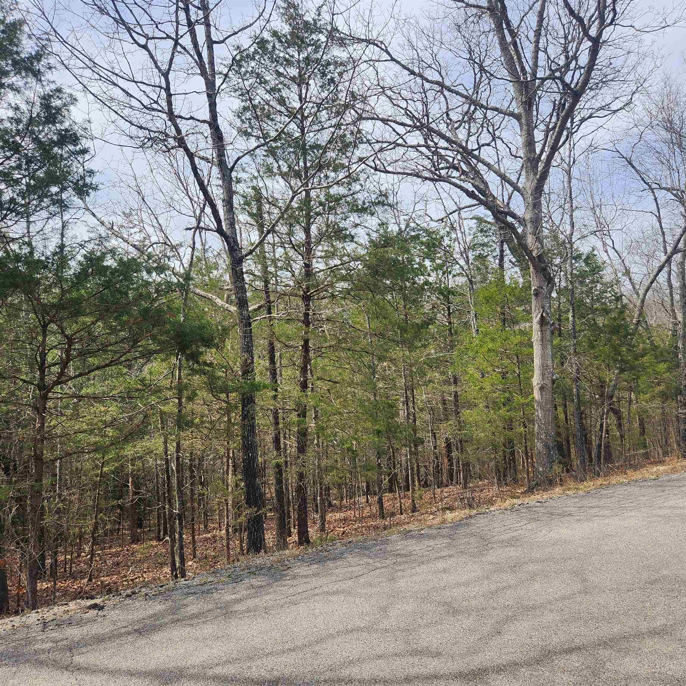 L6, B12 Cochise  Cherokee Village, AR