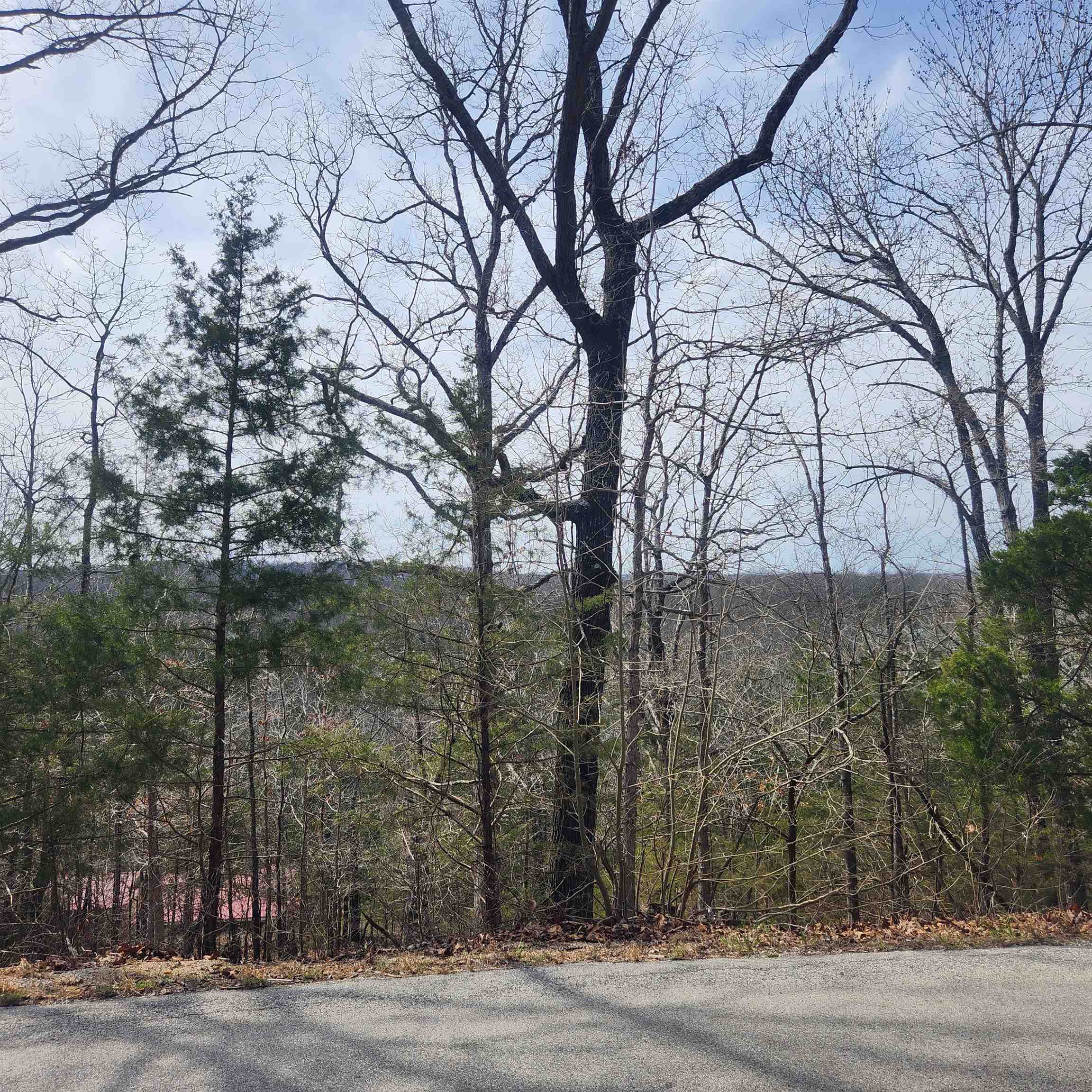 L-13, B11 Flathead  Cherokee Village, AR