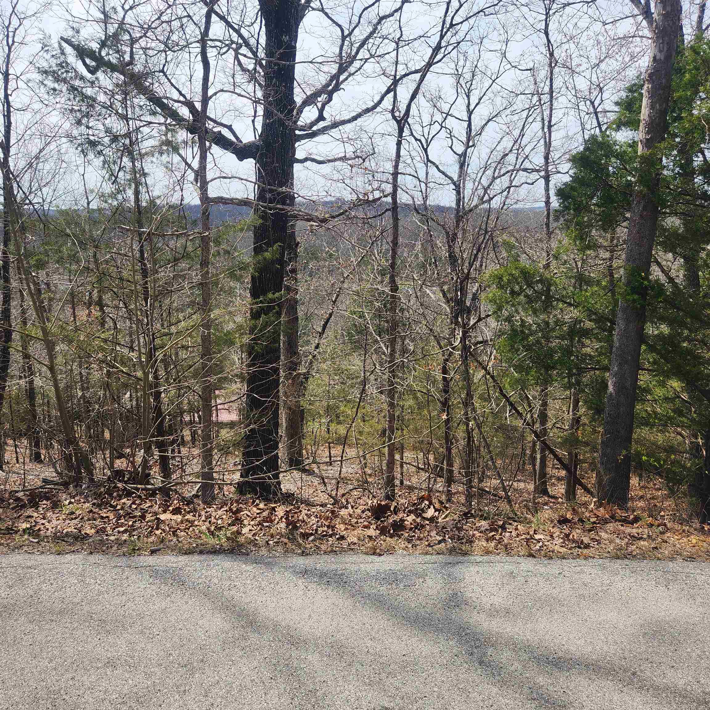 L-13, B11 Flathead  Cherokee Village, AR