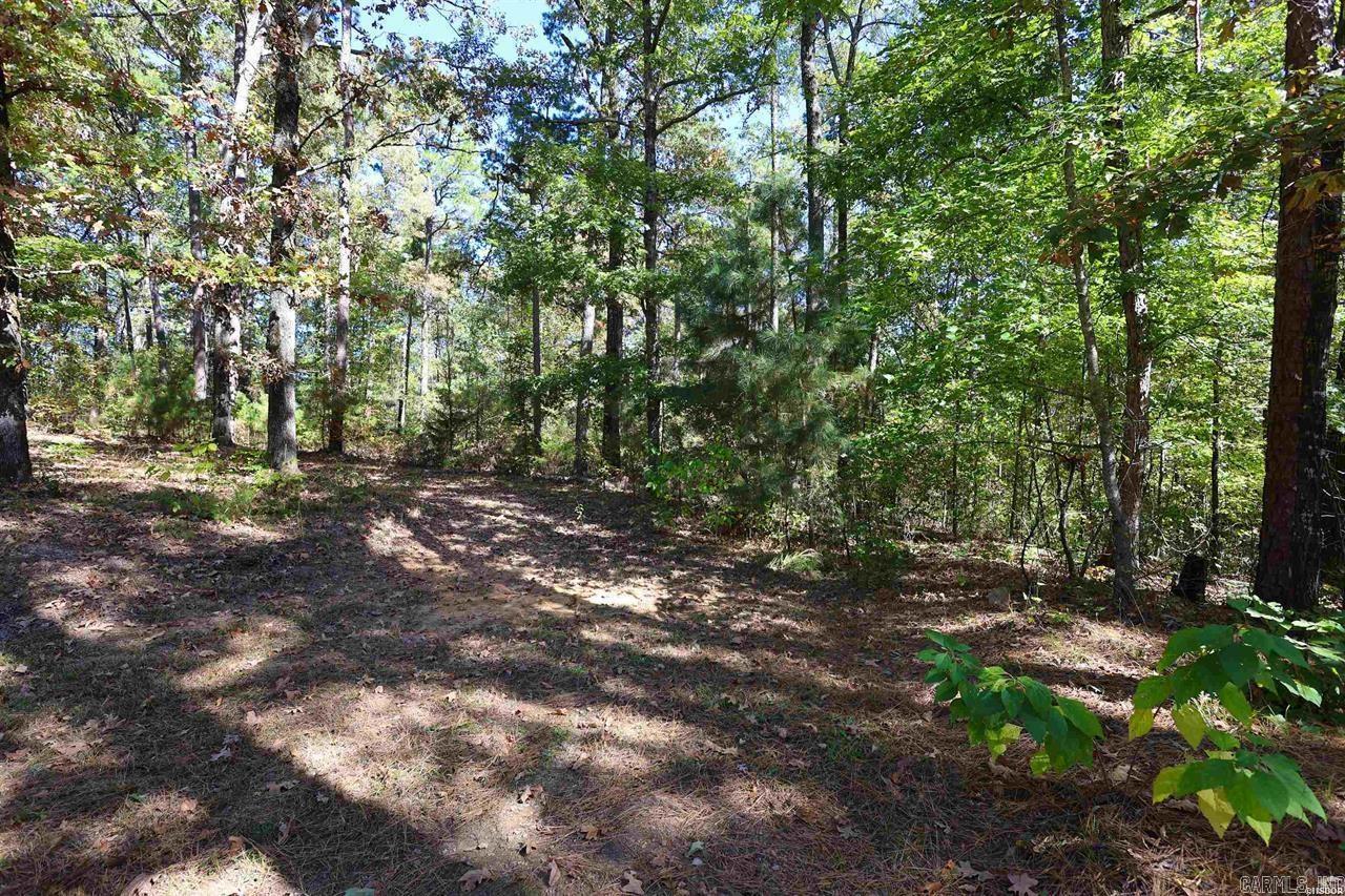 646 School Street Amity, AR 71923