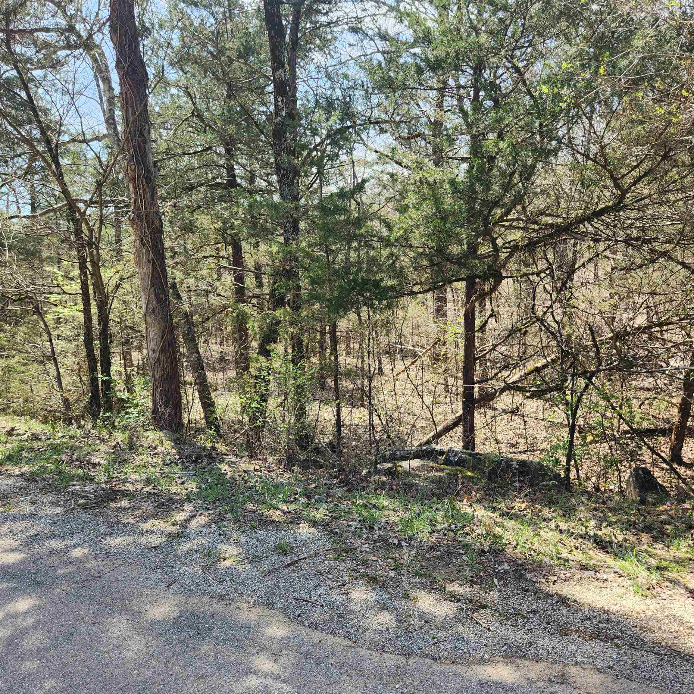 L 19 B 9 Ouachita  Cherokee Village, AR