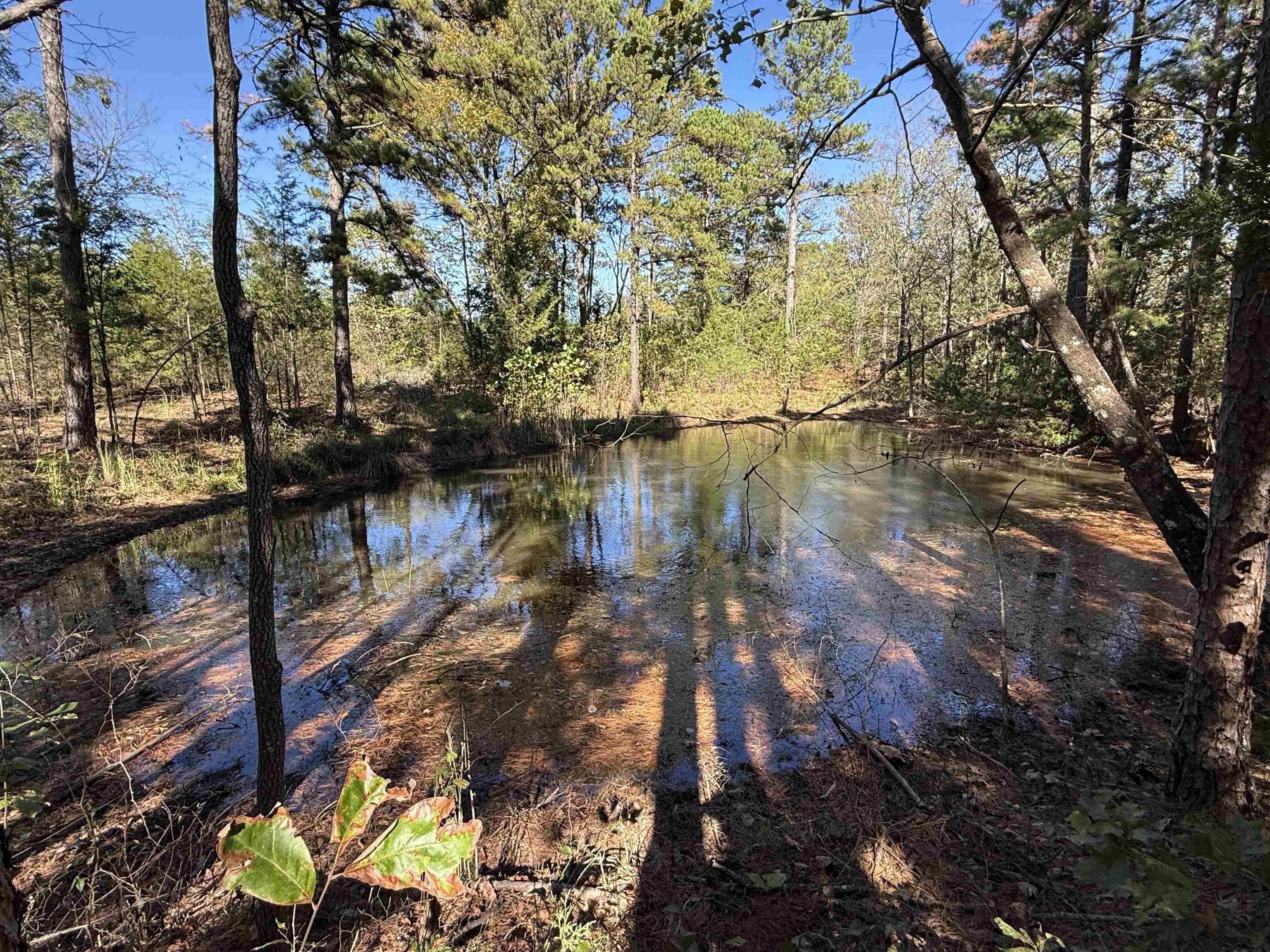 4090 AR 56 Hwy  Wideman, AR