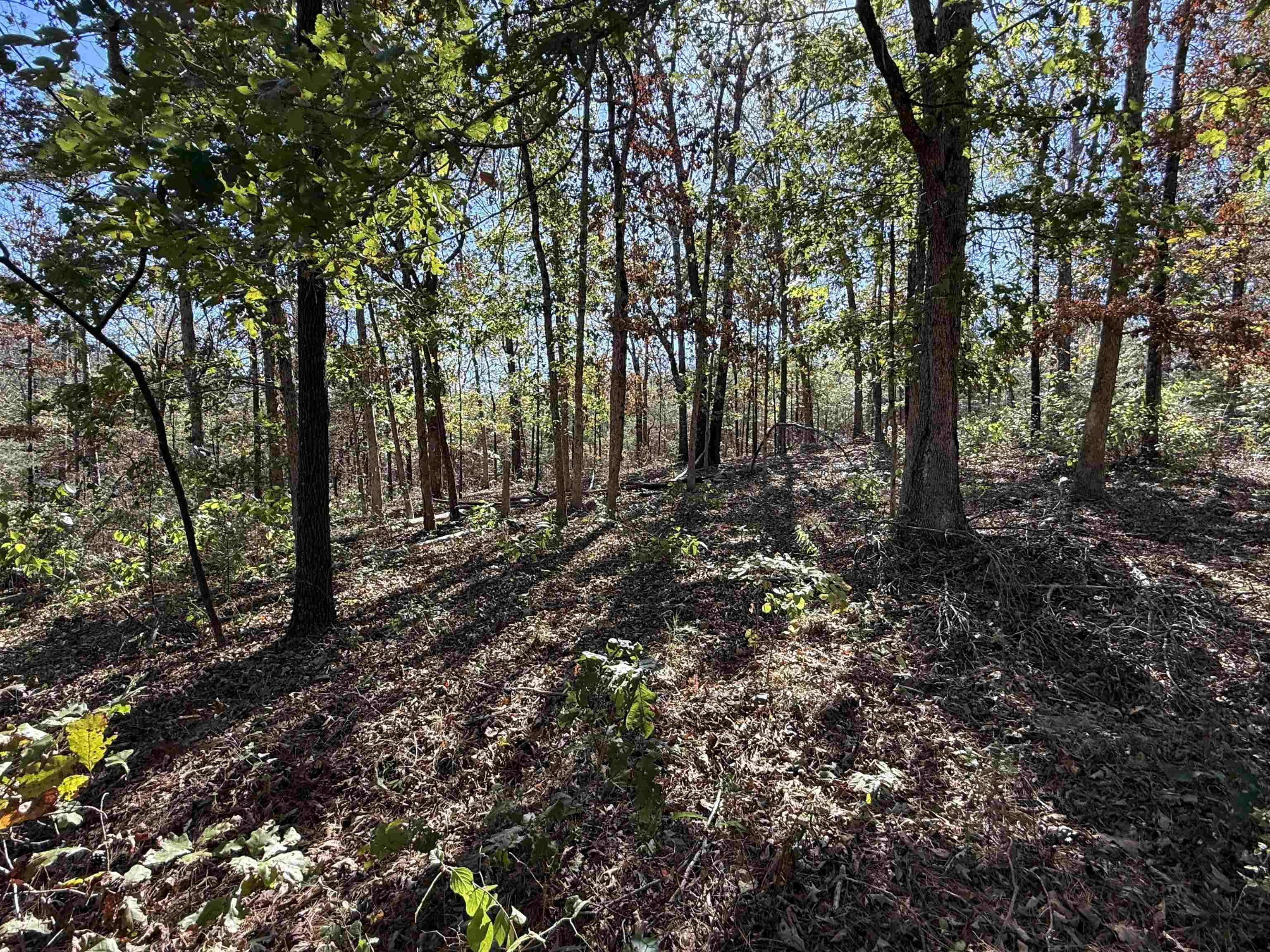 4090 AR 56 Hwy  Wideman, AR