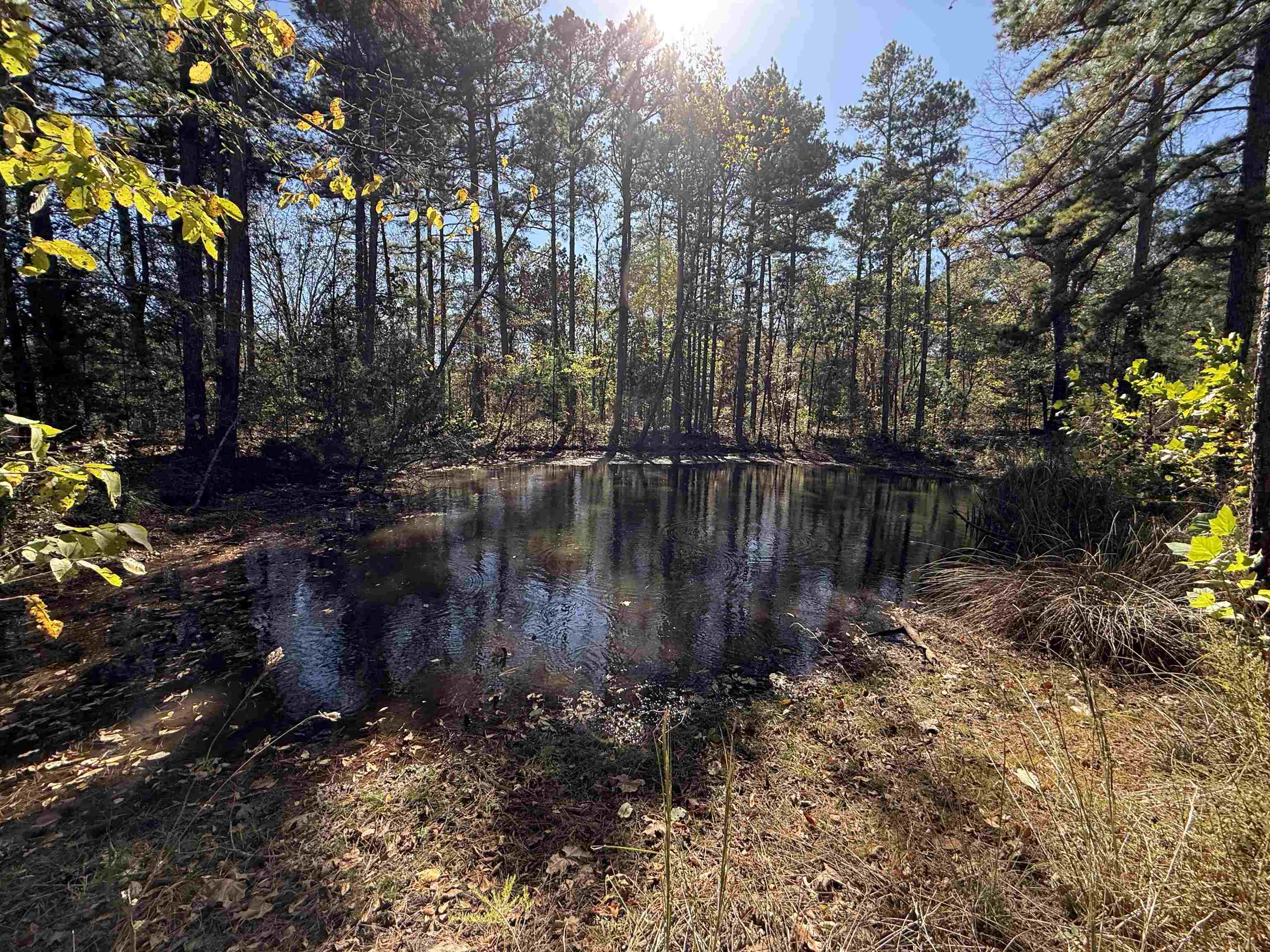 4090 AR 56 Hwy  Wideman, AR