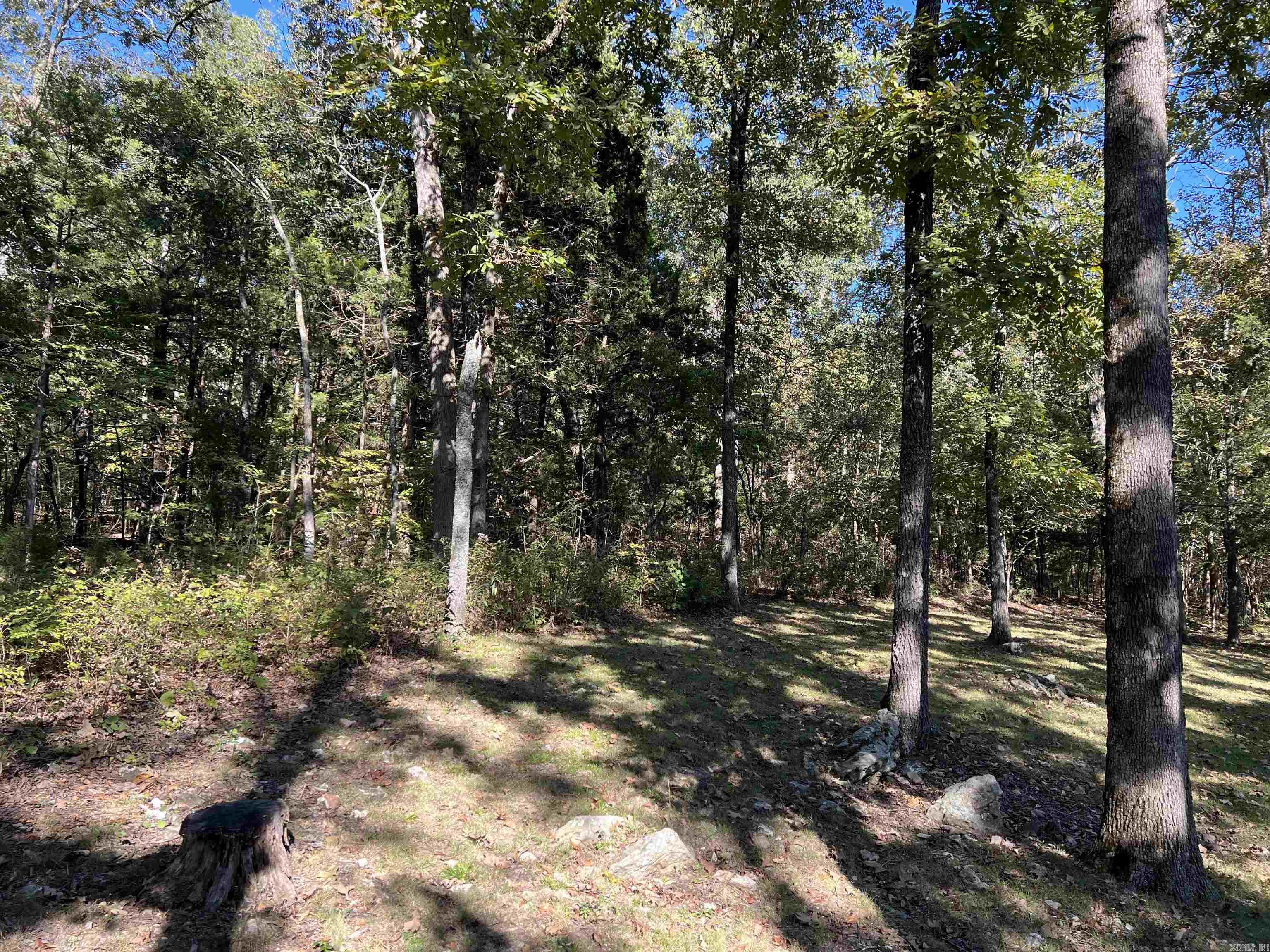 296 NC 2864  Marble Falls, AR