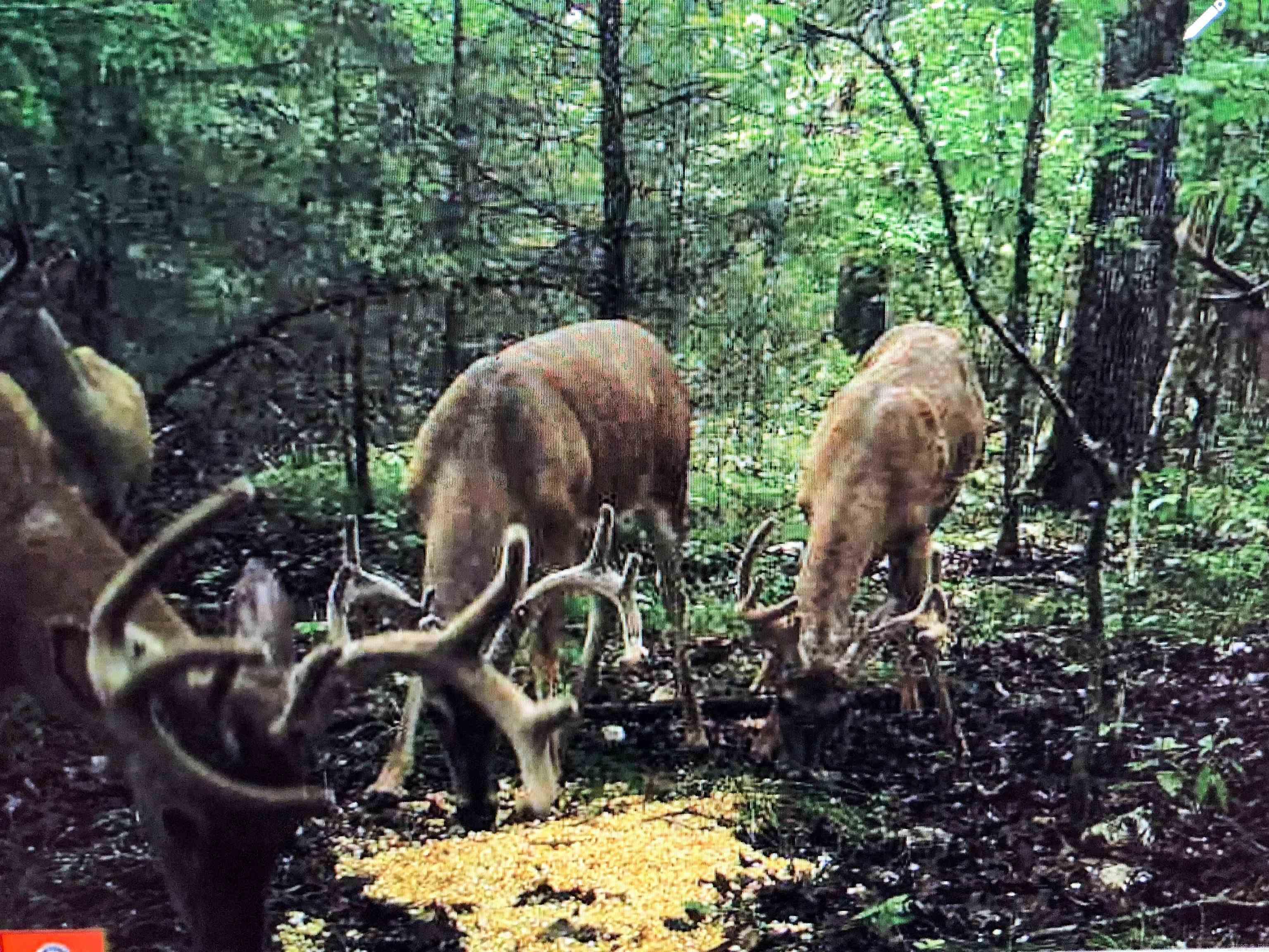 4200 Norfolk River  Norfork, AR