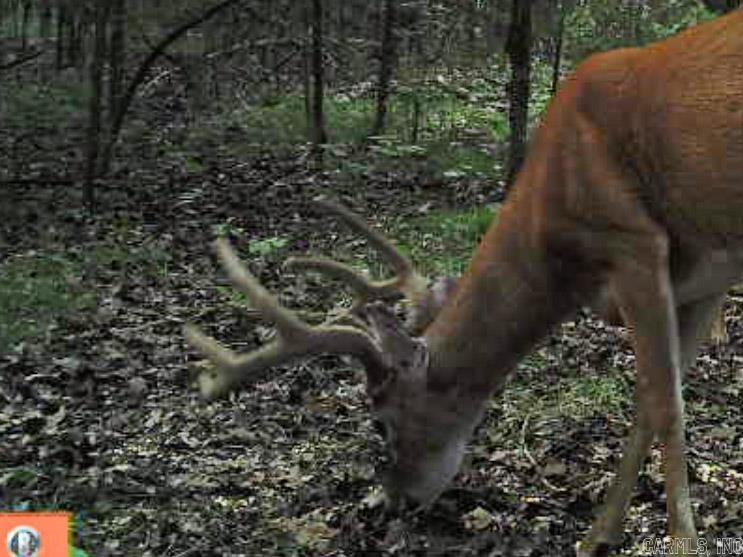 4200 Norfolk River  Norfork, AR