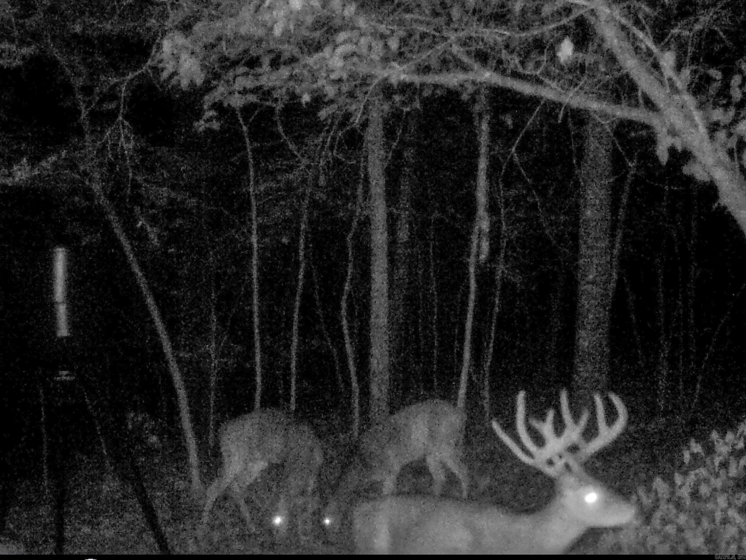 4200 Norfolk River  Norfork, AR