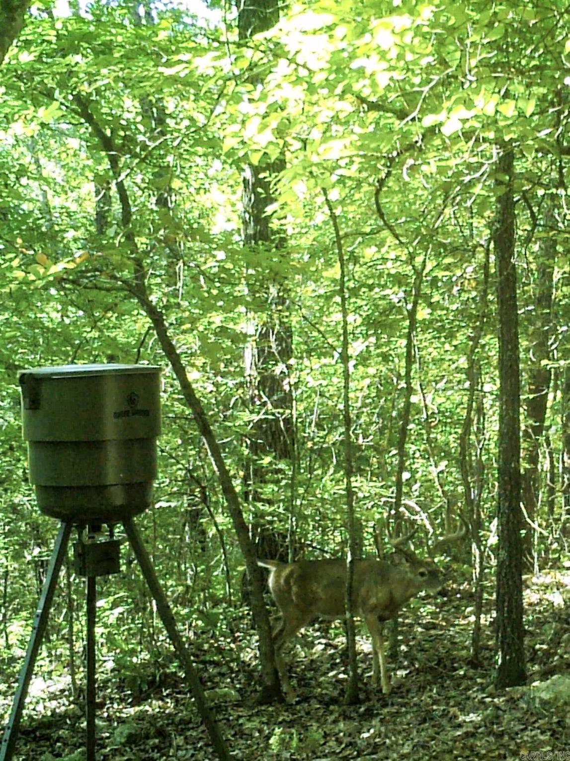 4200 Norfolk River  Norfork, AR