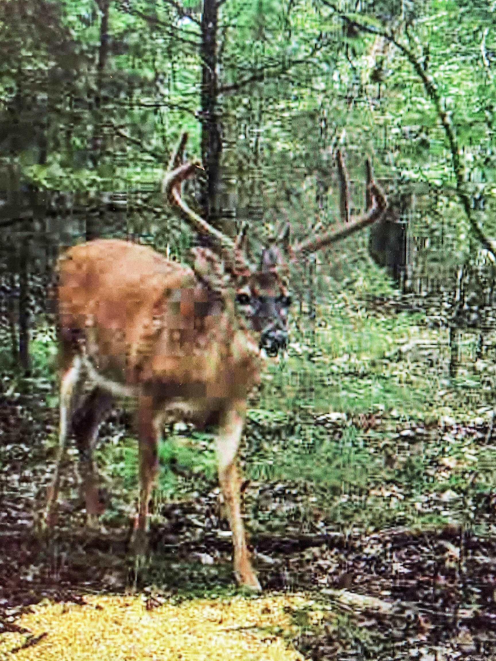 4200 Norfolk River  Norfork, AR