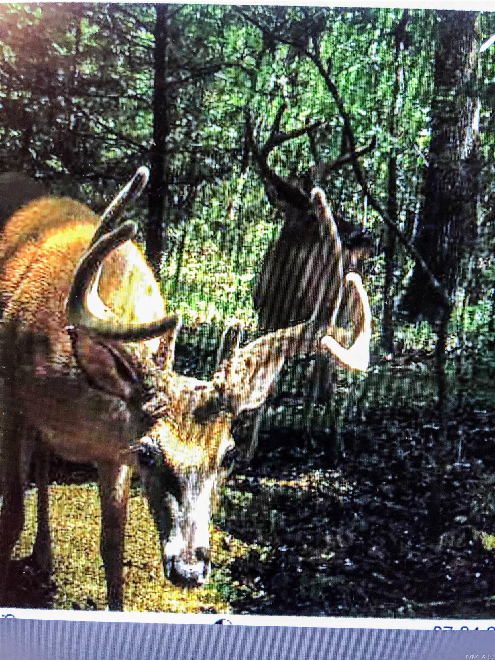 4200 Norfolk River  Norfork, AR