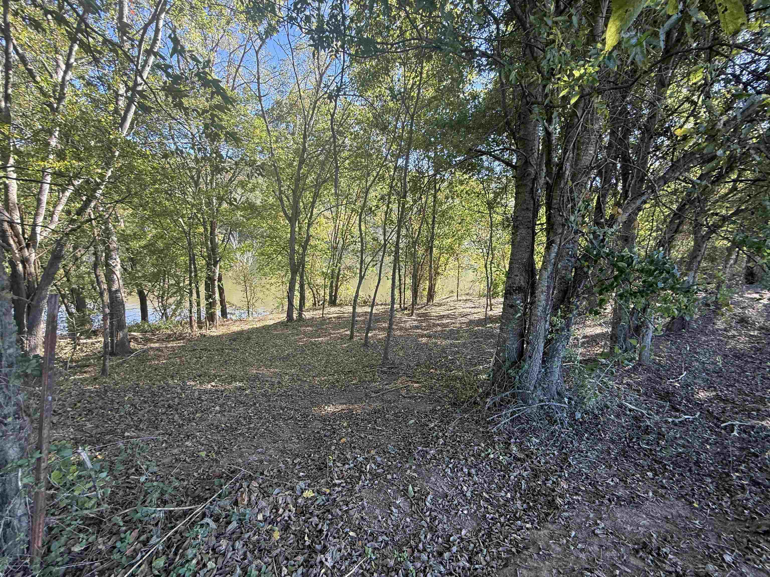 70A Highway 5 North  Mountain View, AR