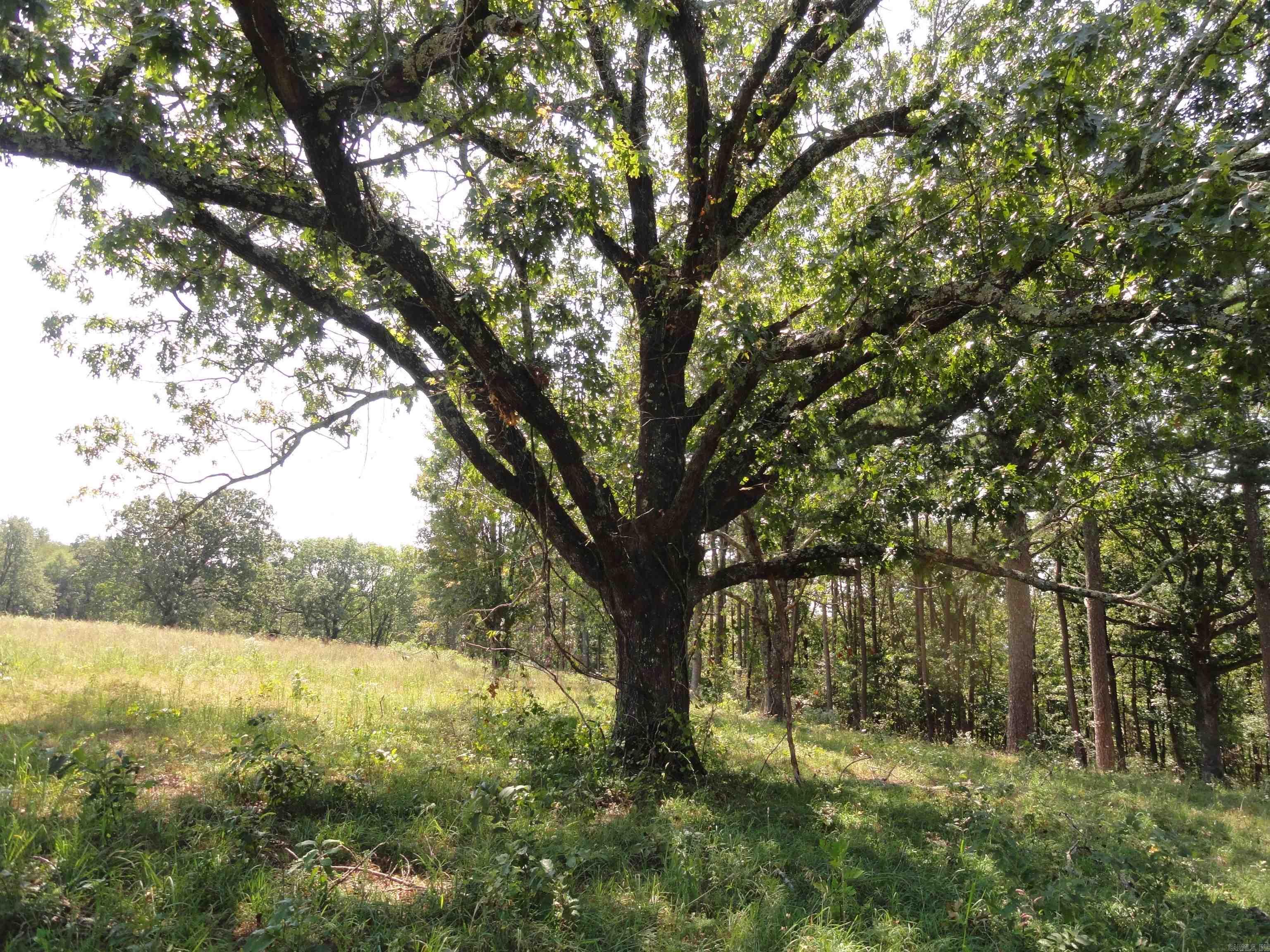 4971 US-65 N  Clinton, AR