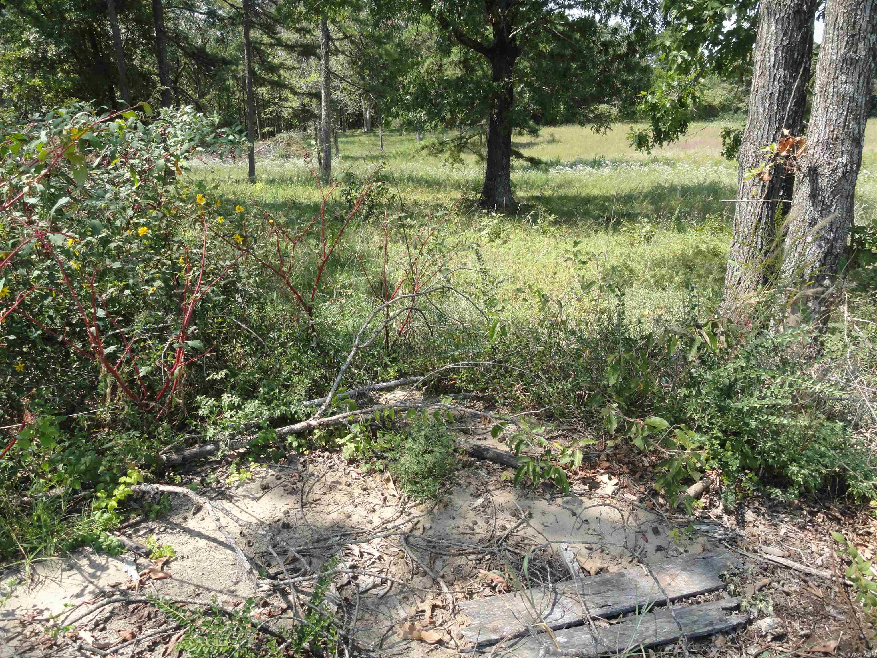4971 US-65 N  Clinton, AR