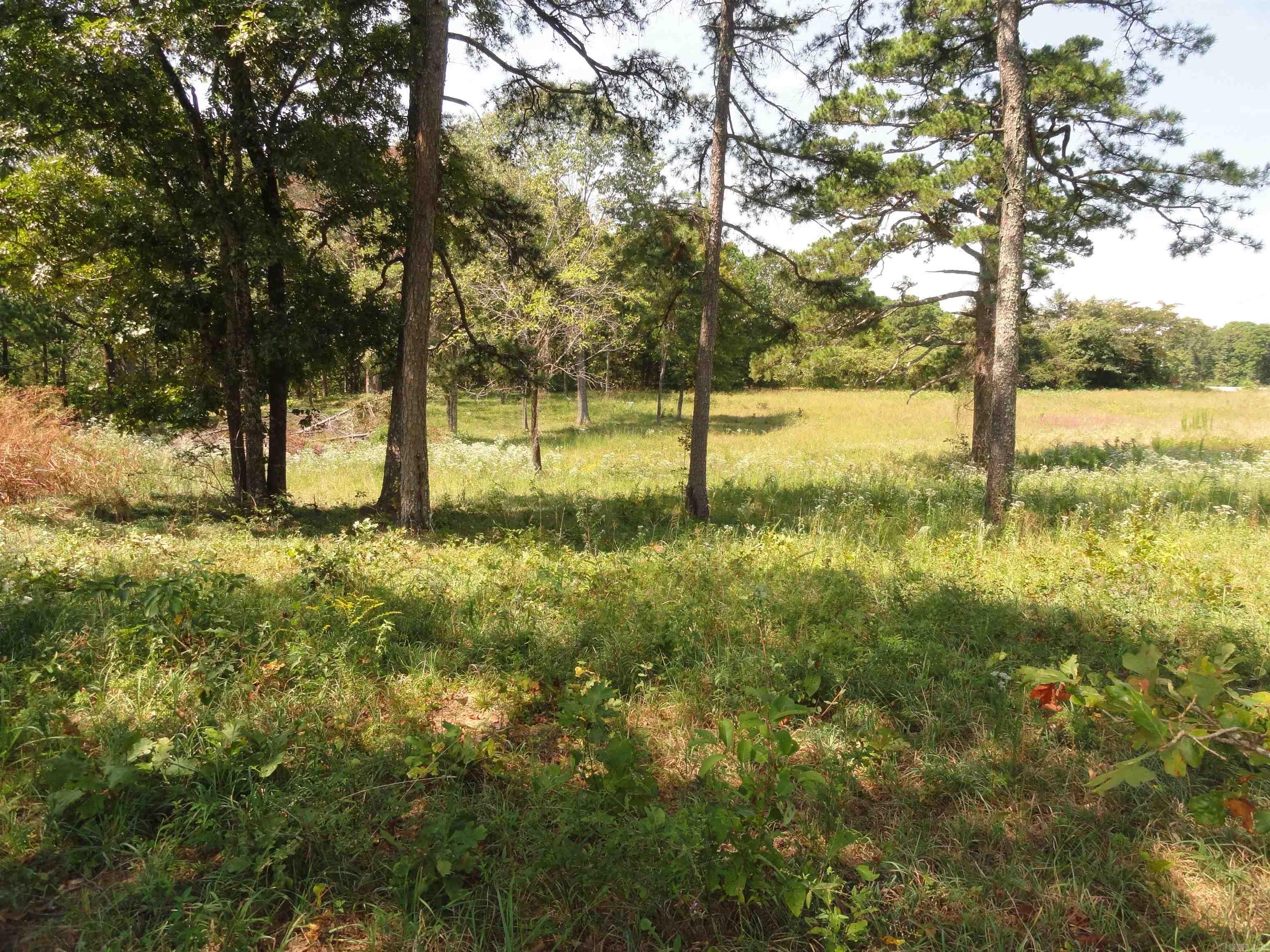4971 US-65 N  Clinton, AR